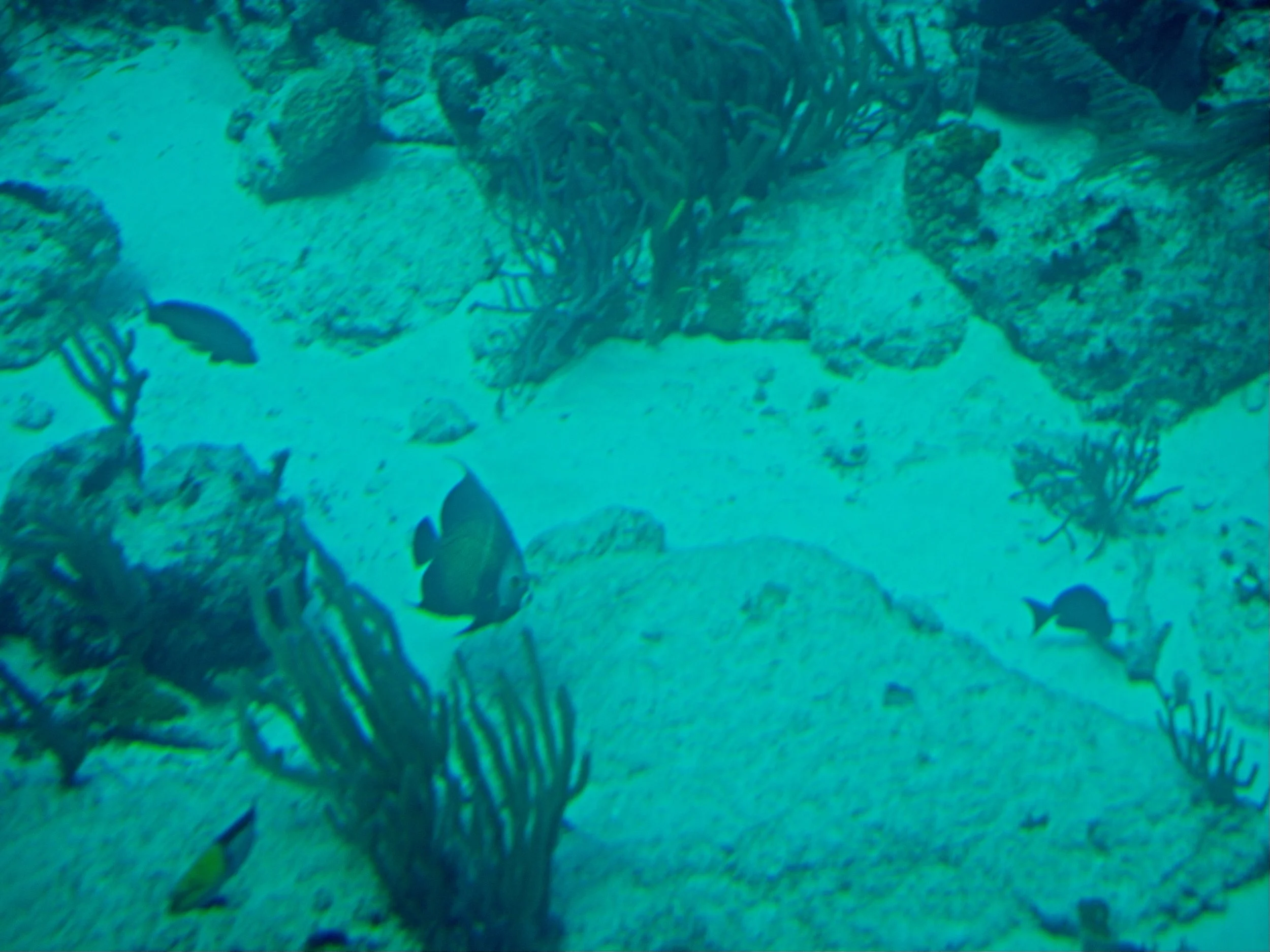 PC140022.jpg