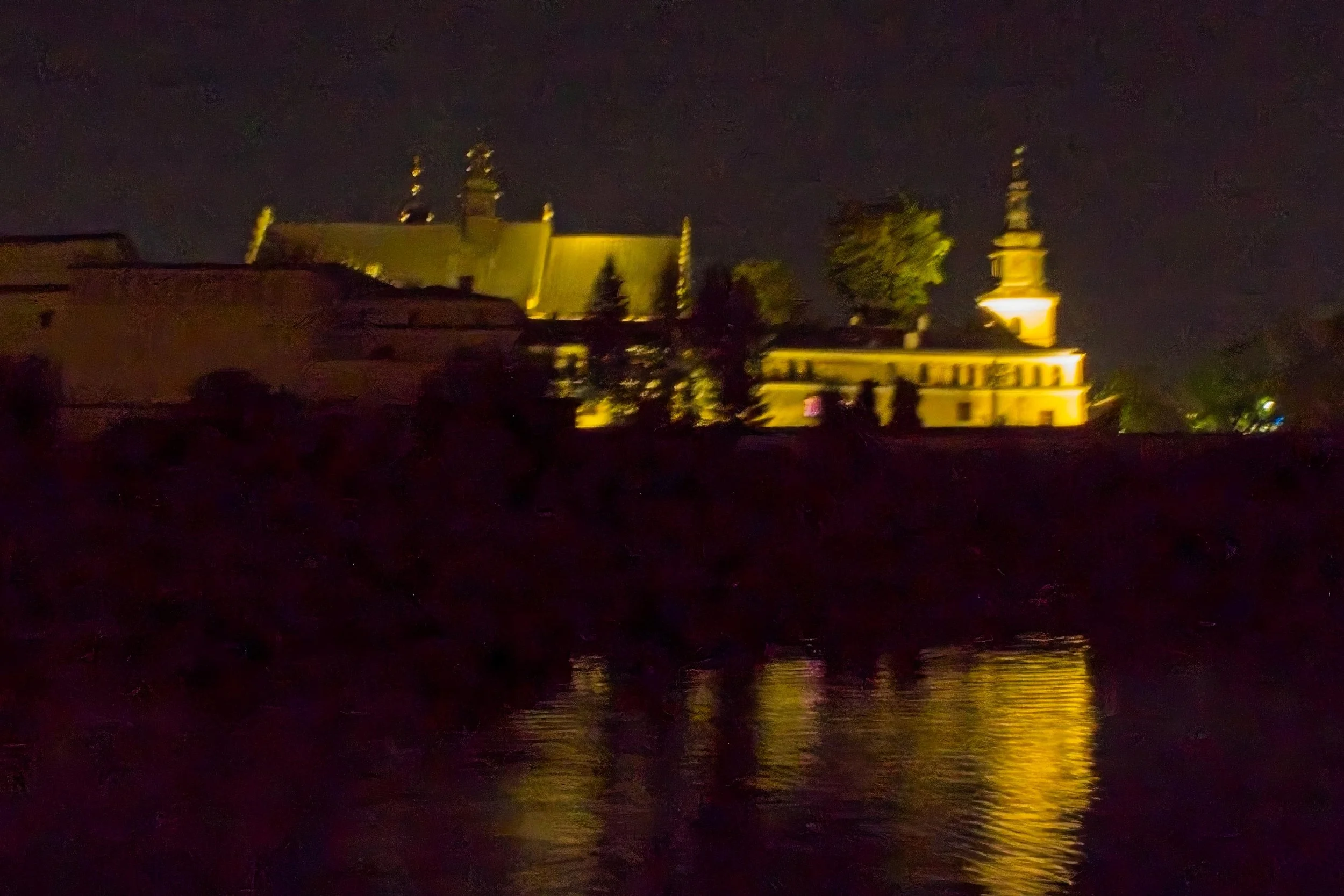 P9020222.jpg