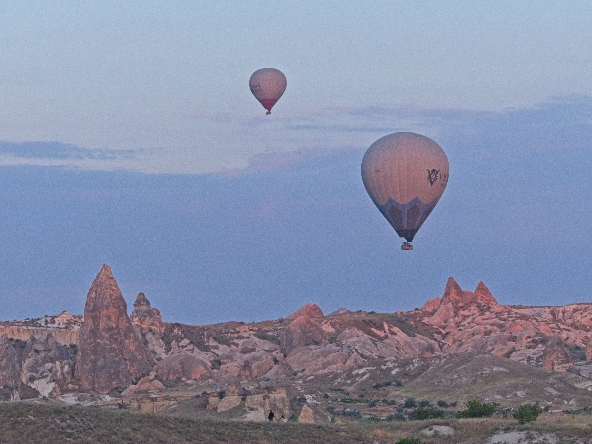 P1110363.jpg