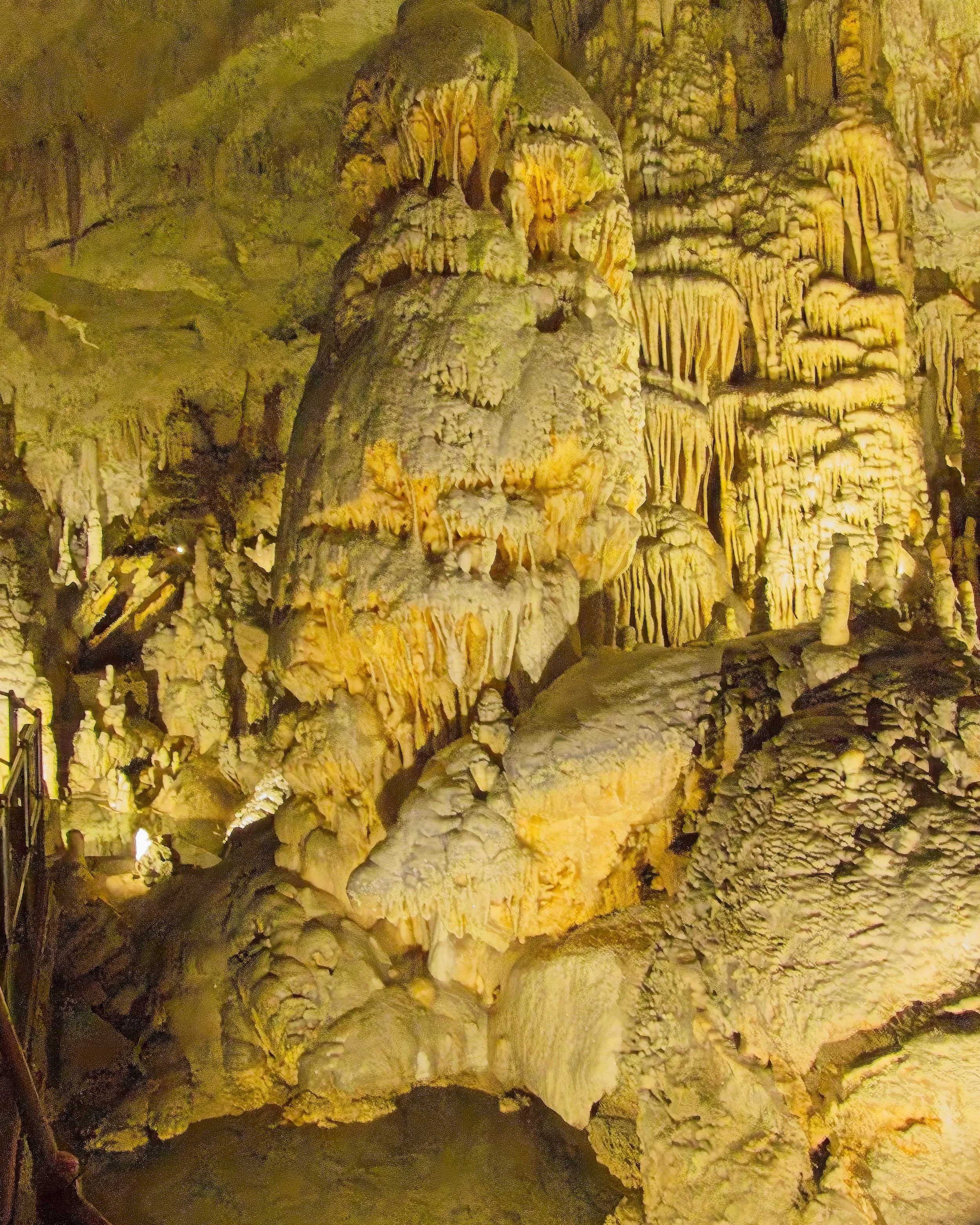 P1100018.jpg