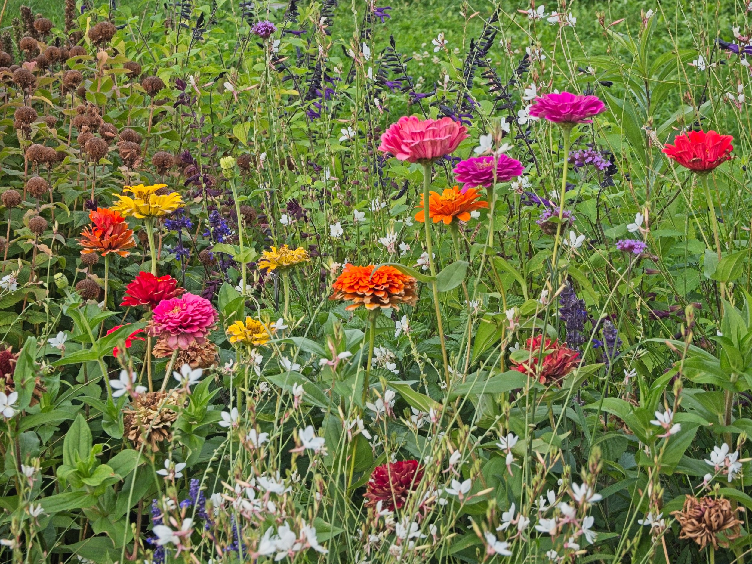 P9020192.jpg