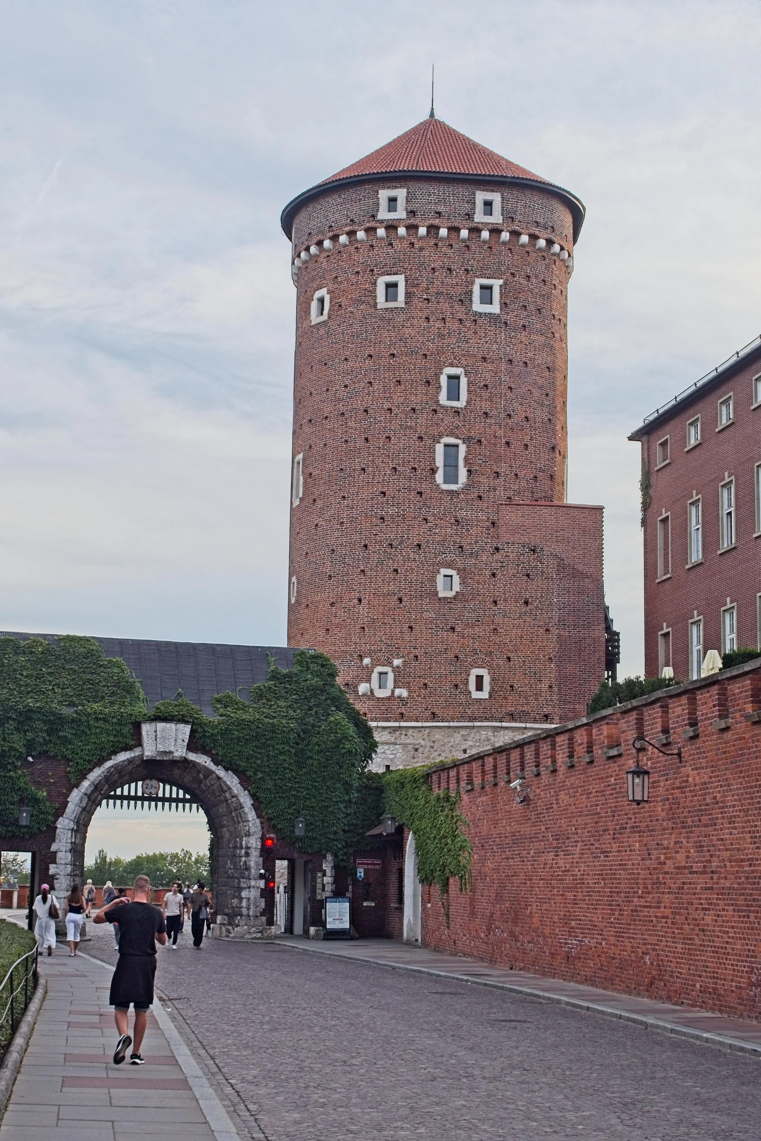 P9020174.jpg