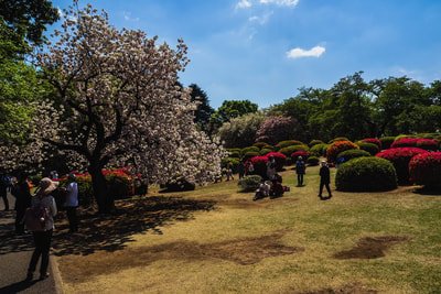p4102154.jpg