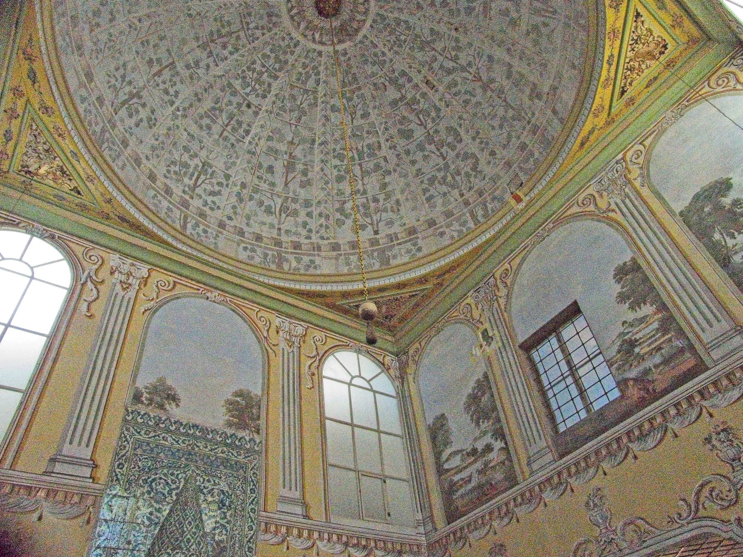 P1100697.jpg