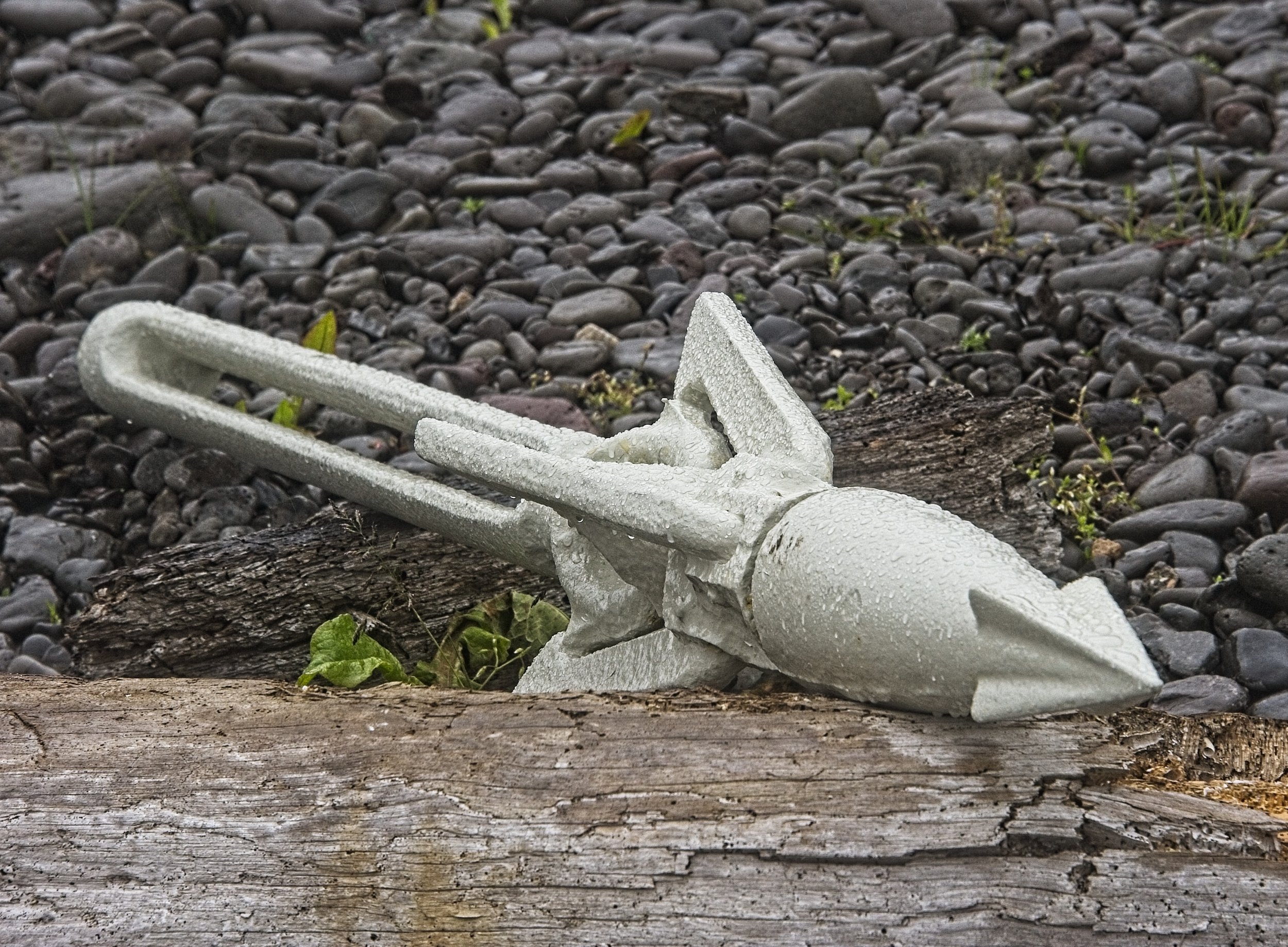 DSC_0512.jpg