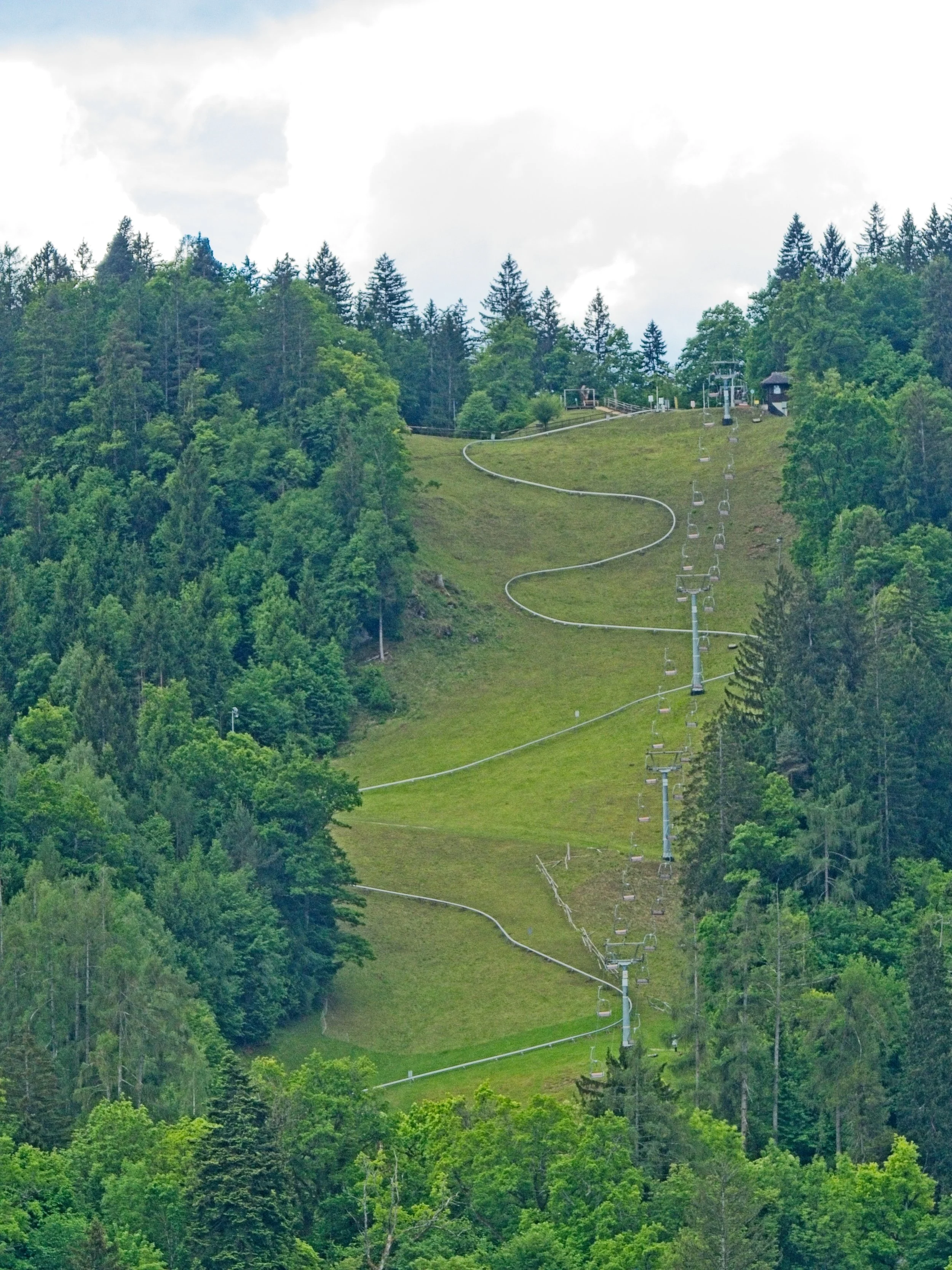 P1100343.jpg