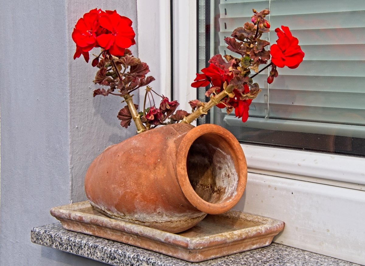 P9250586.jpg