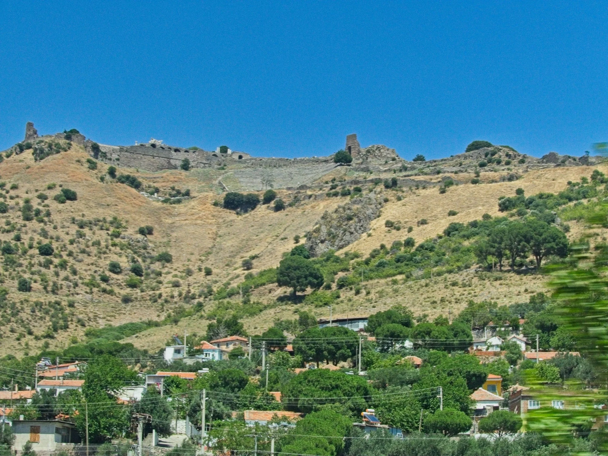 P1100920.jpg
