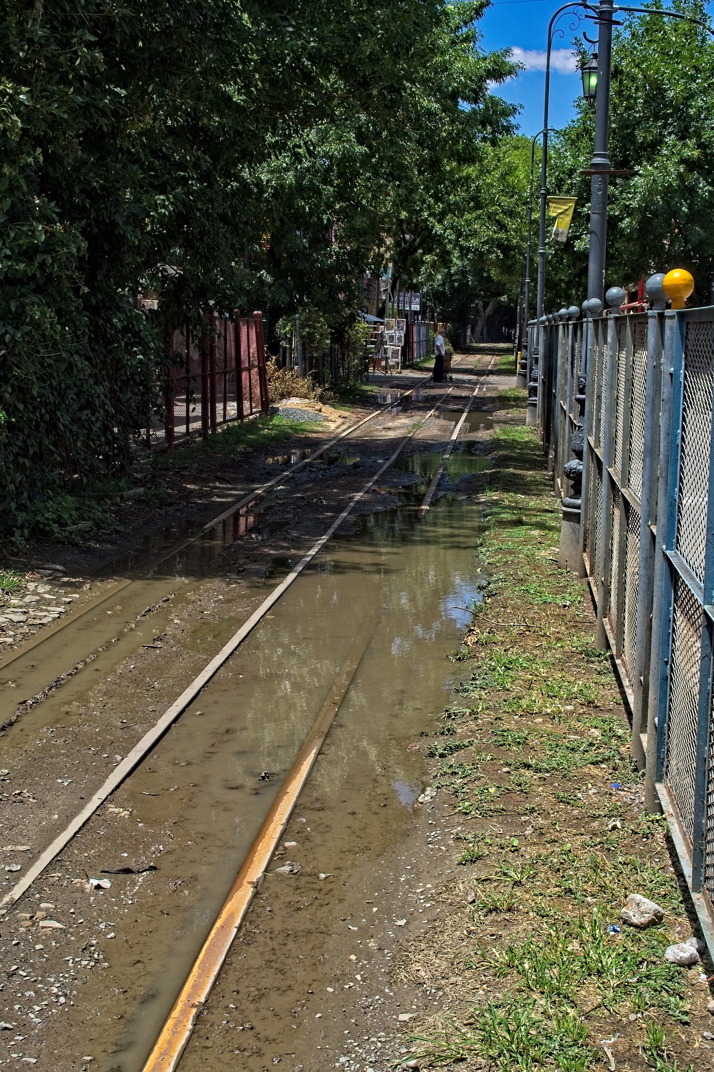 P1103647.jpg
