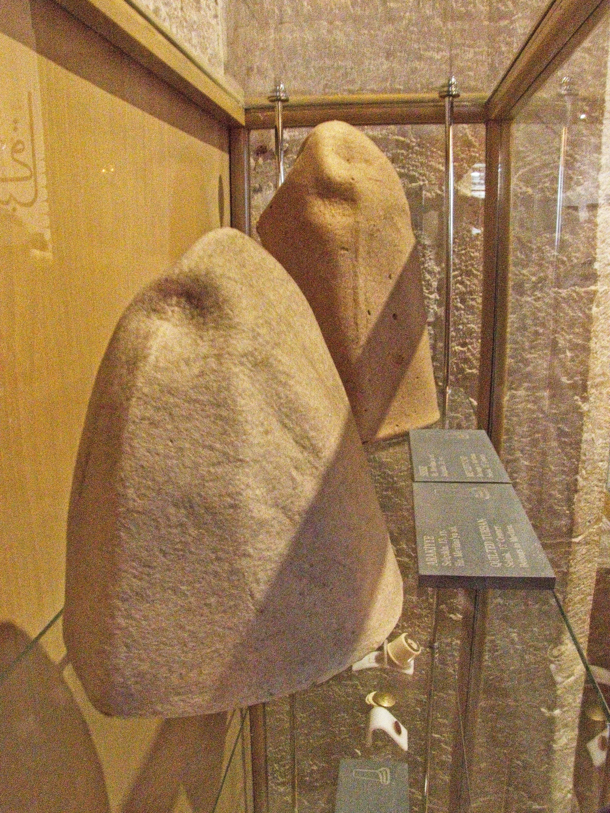 P1110194.jpg