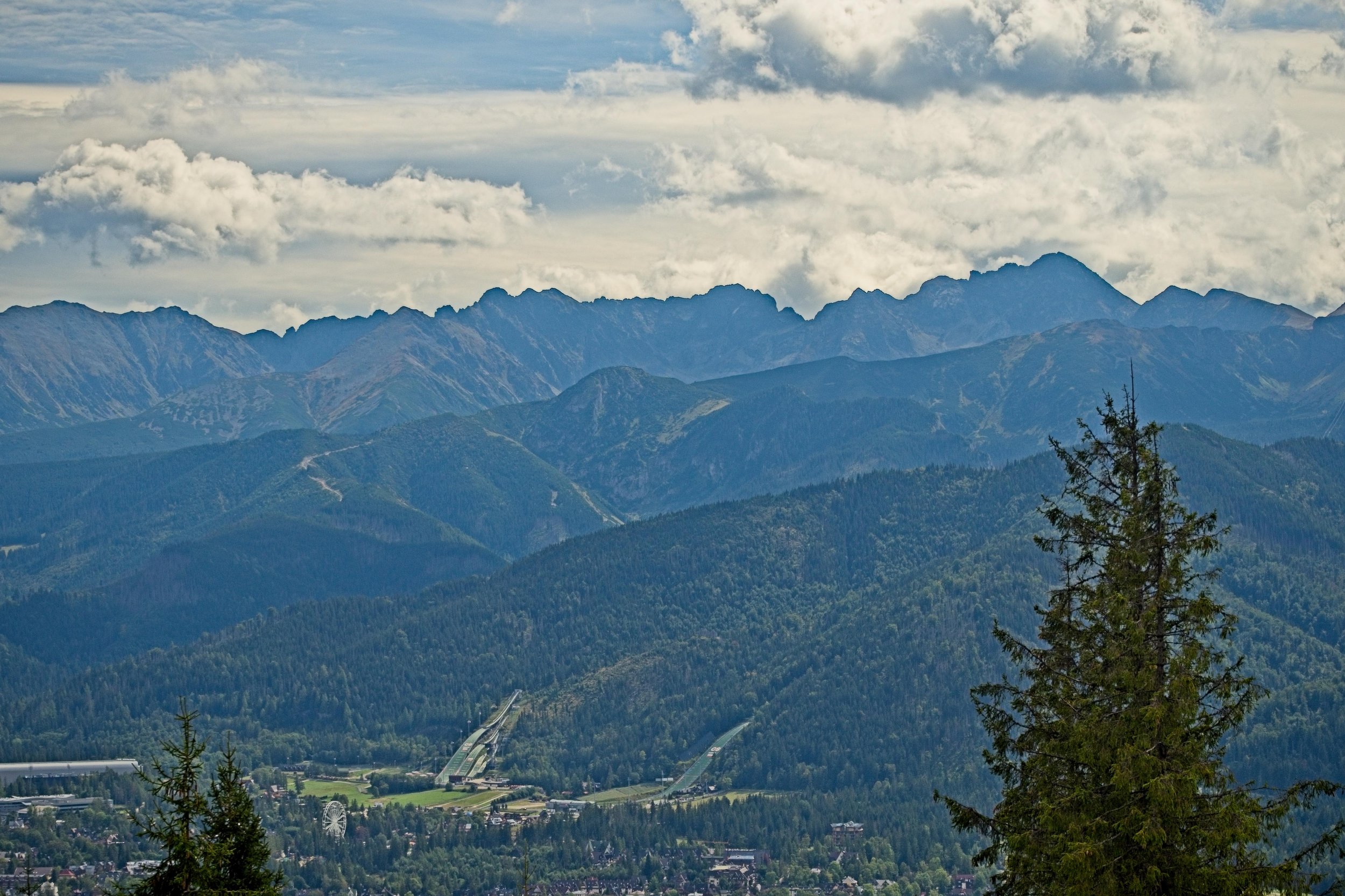 P9040356.jpg