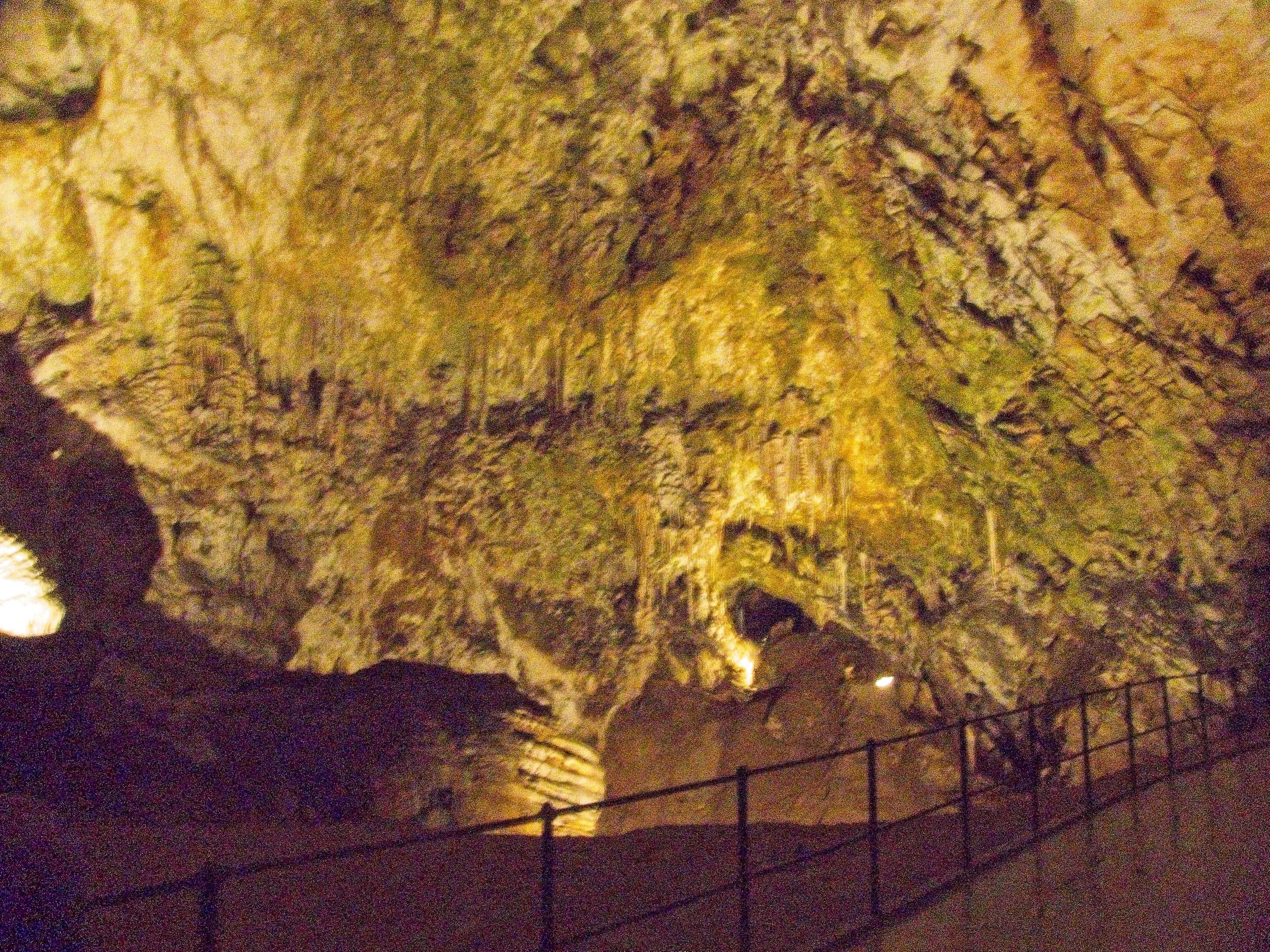P1100039.jpg