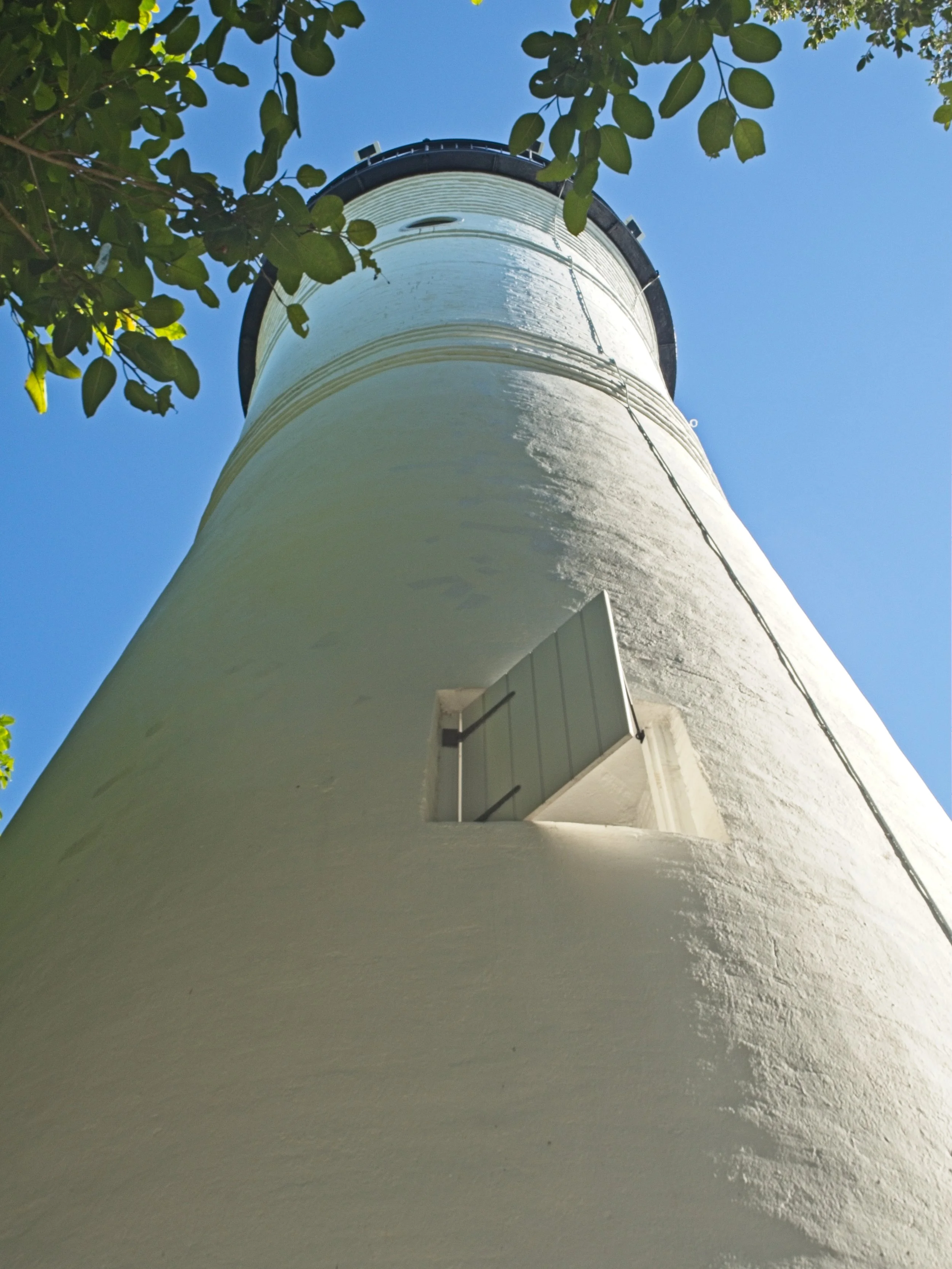 PC260448.jpg
