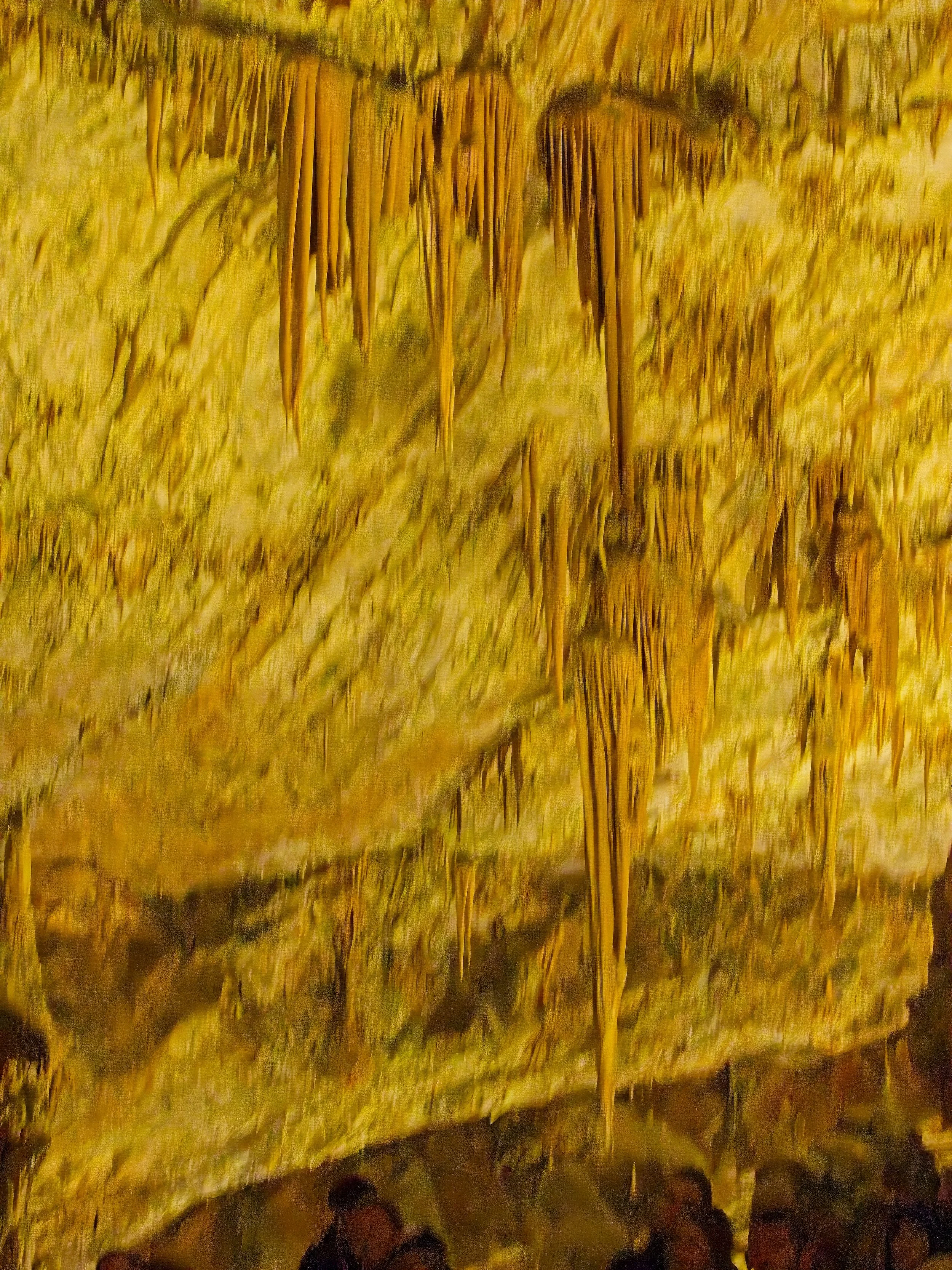 P1100005.jpg