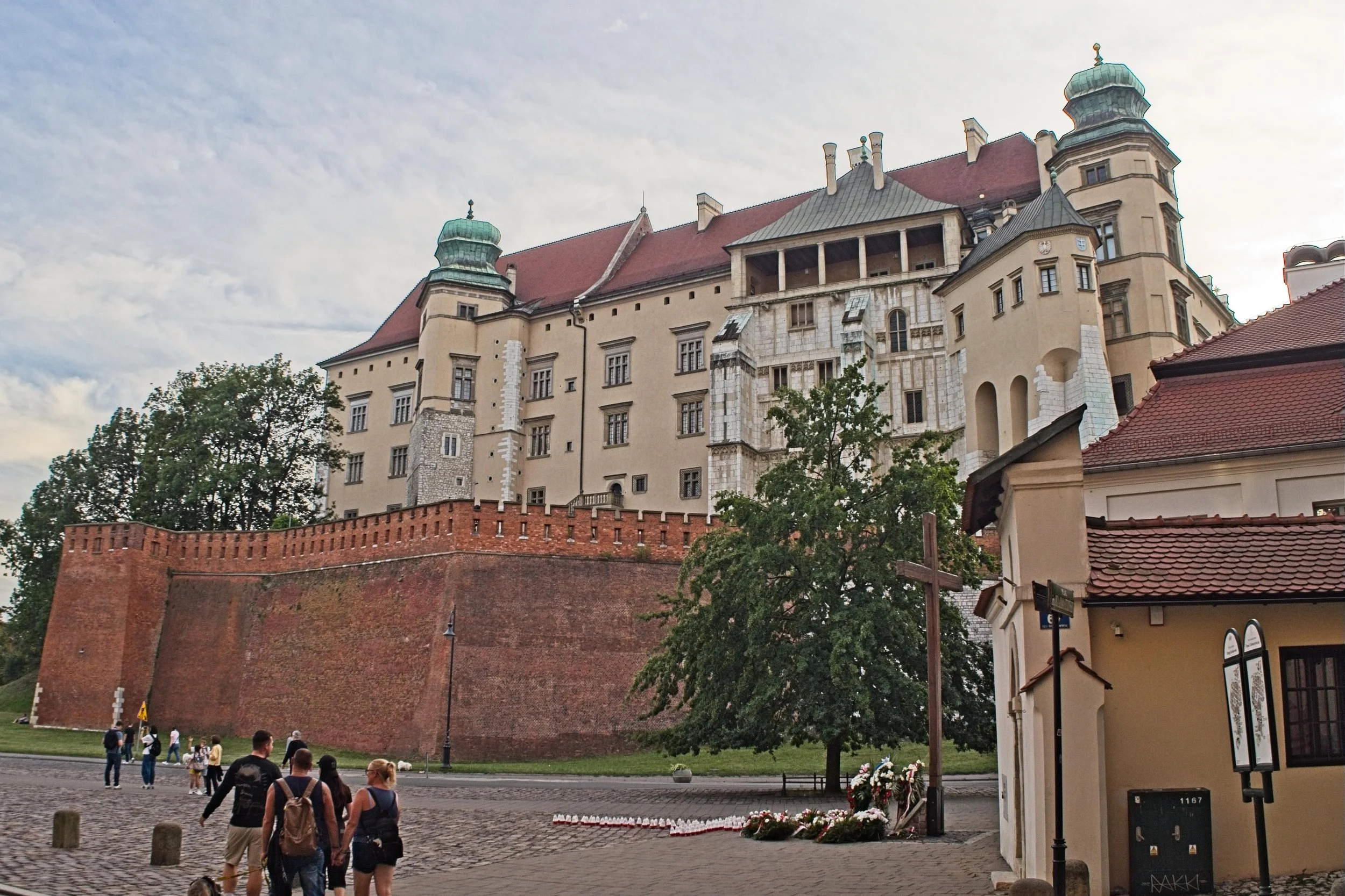 P9020165.jpg
