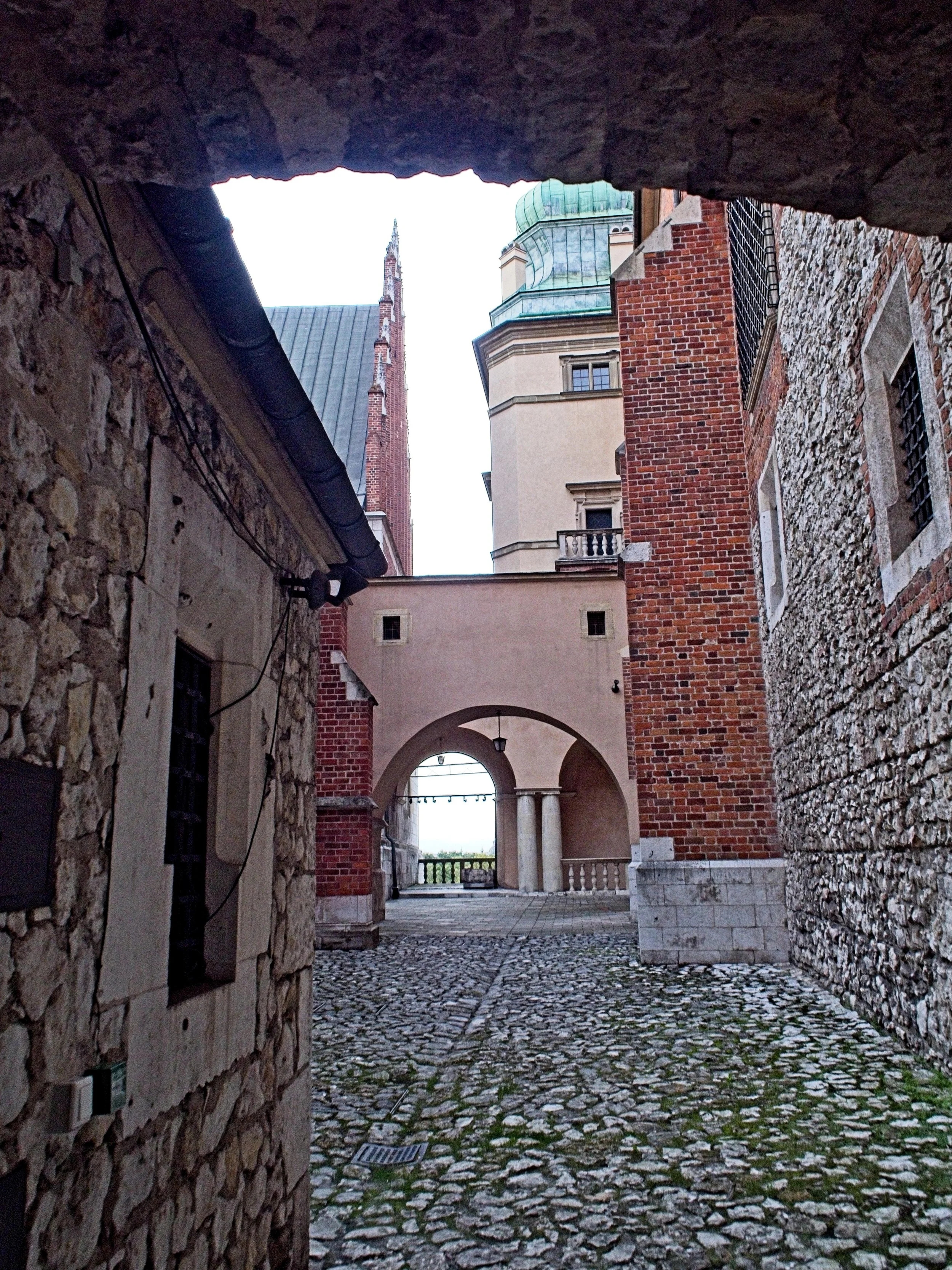 P9020199.jpg