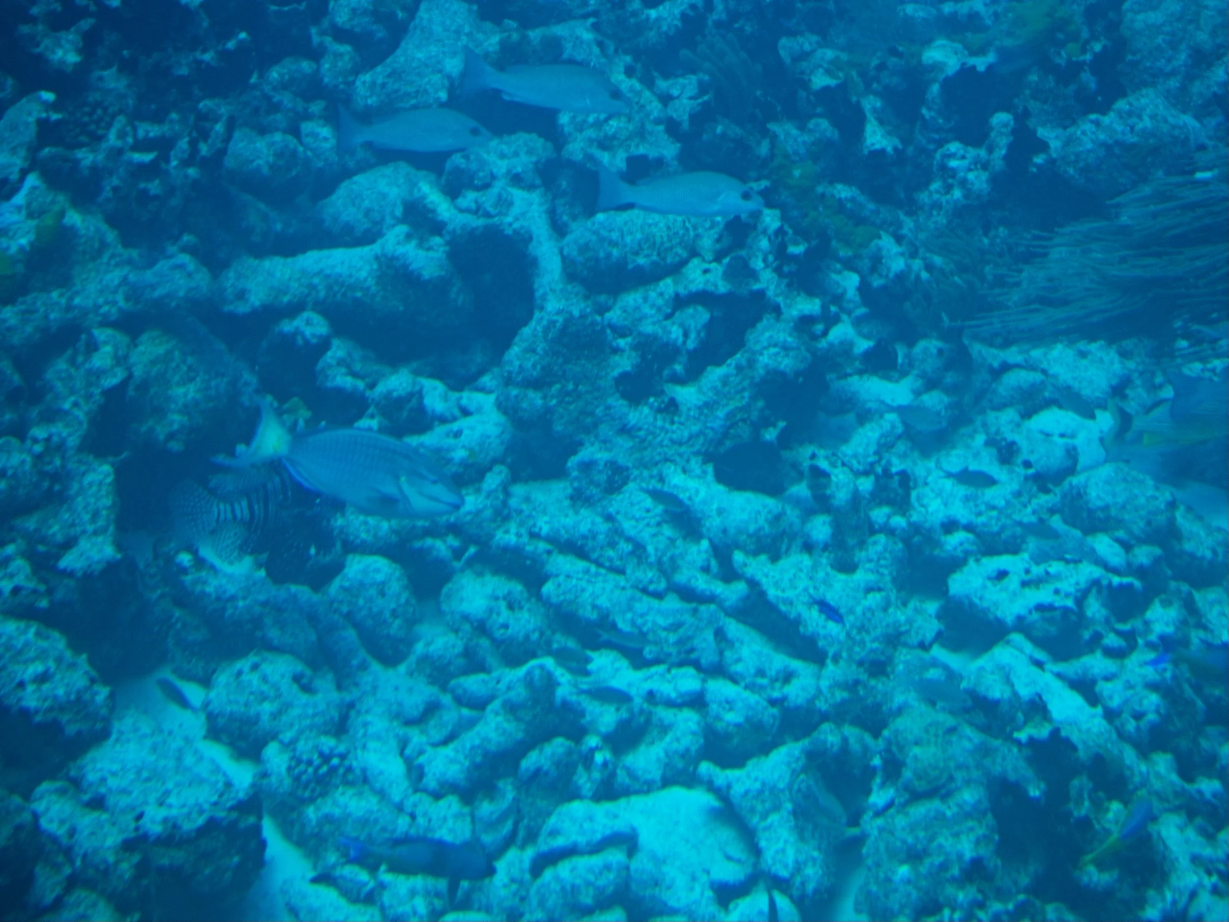 PC140029.jpg