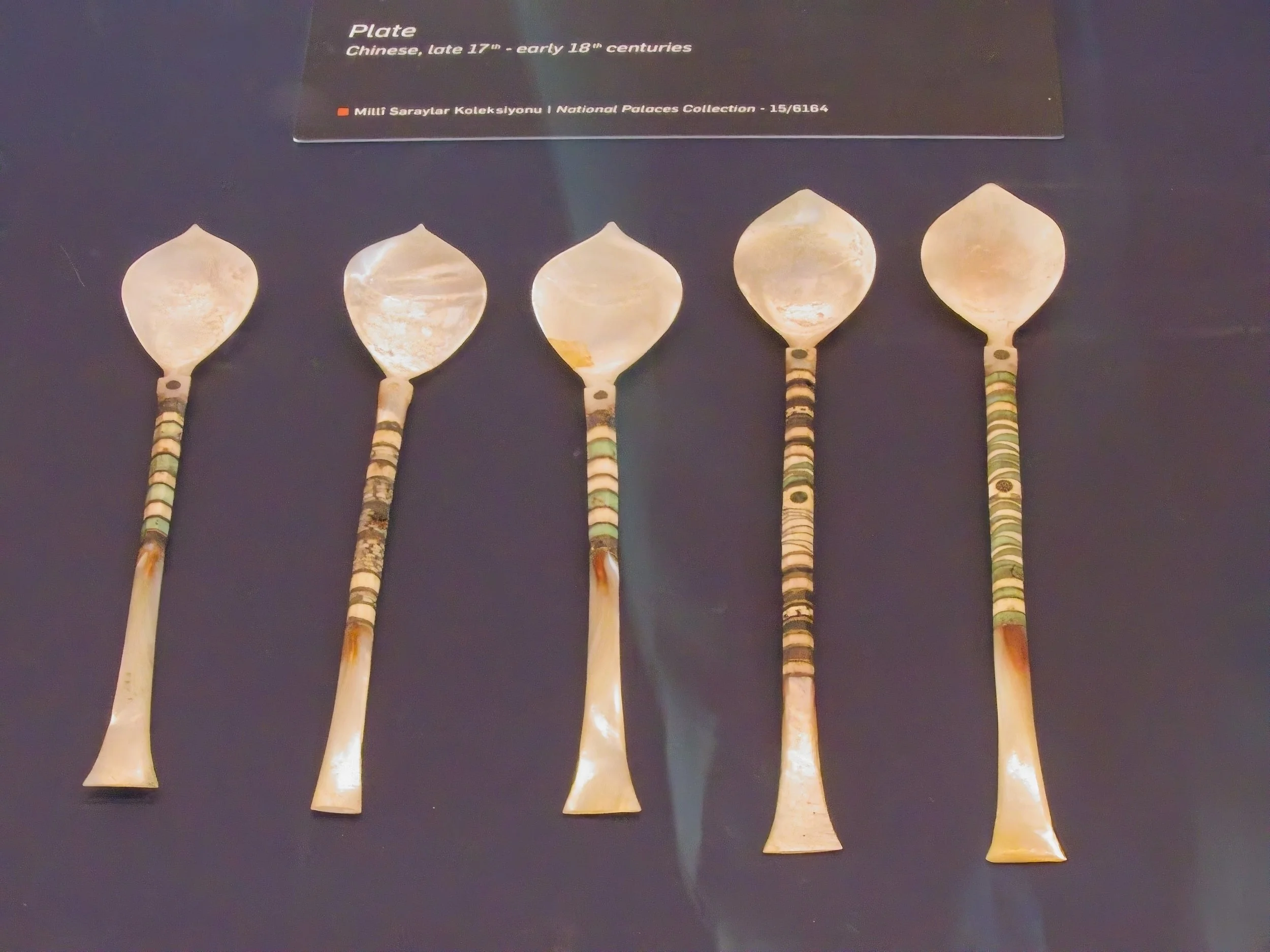 P1100634.jpg