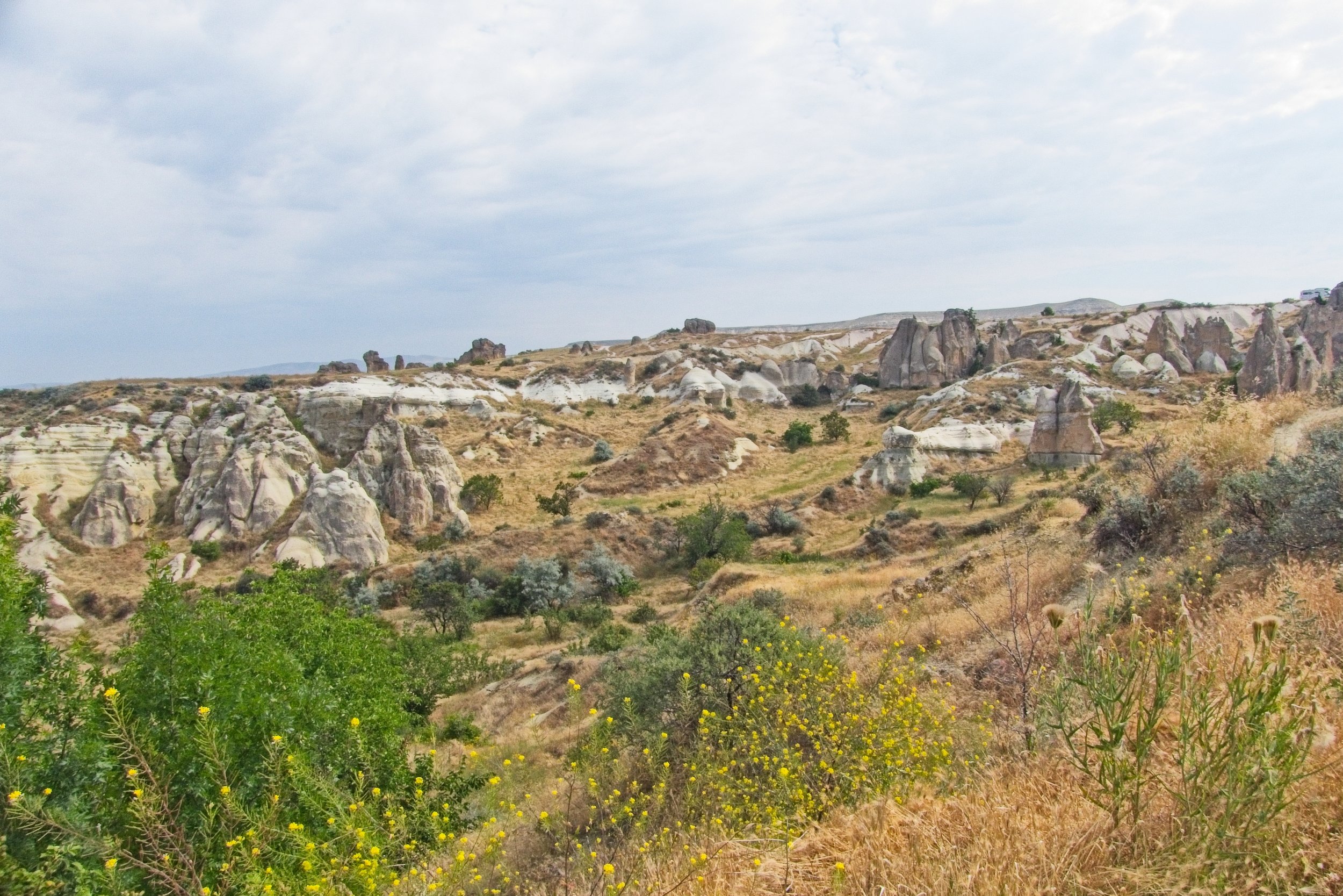 P1110412.jpg