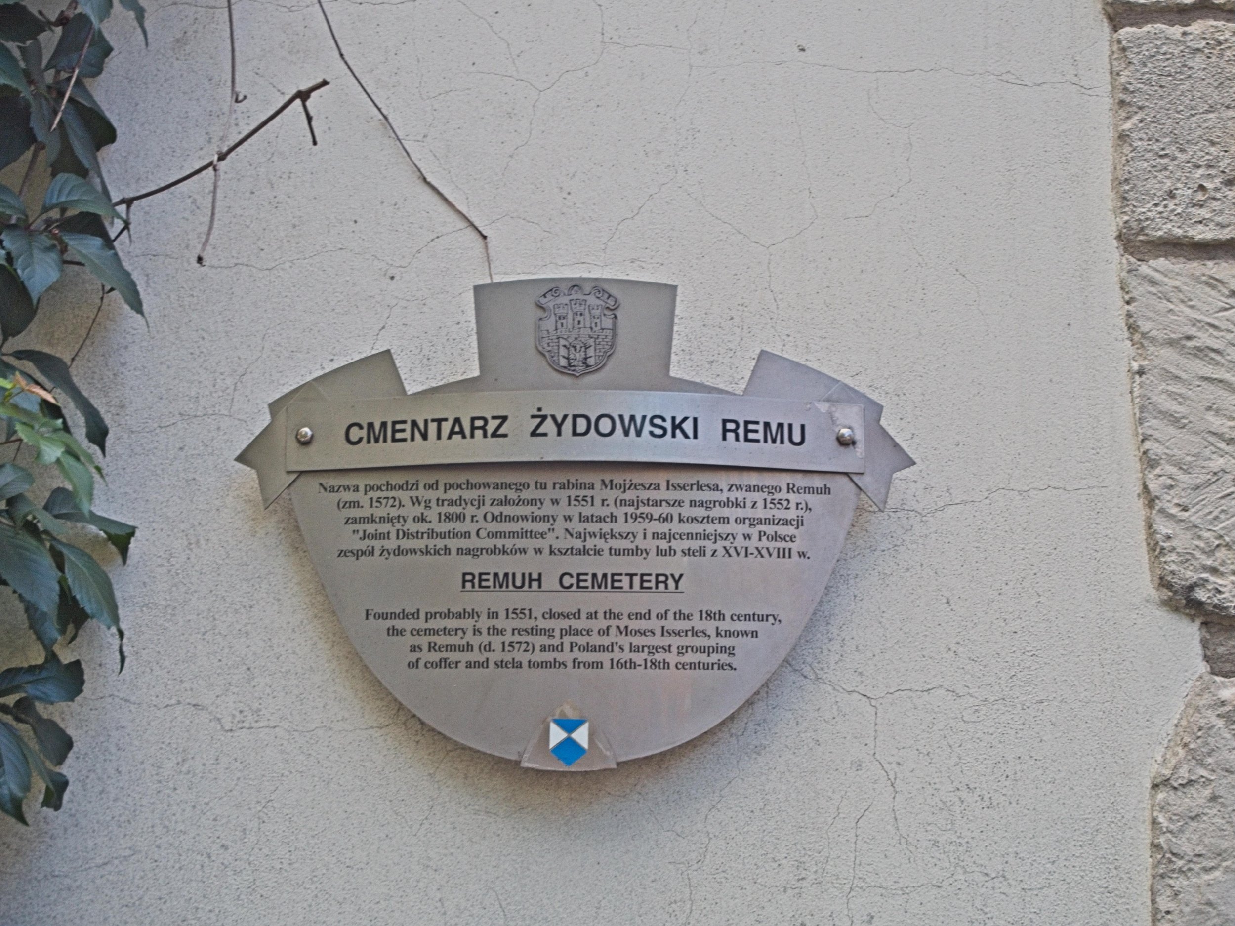 P9050400.jpg