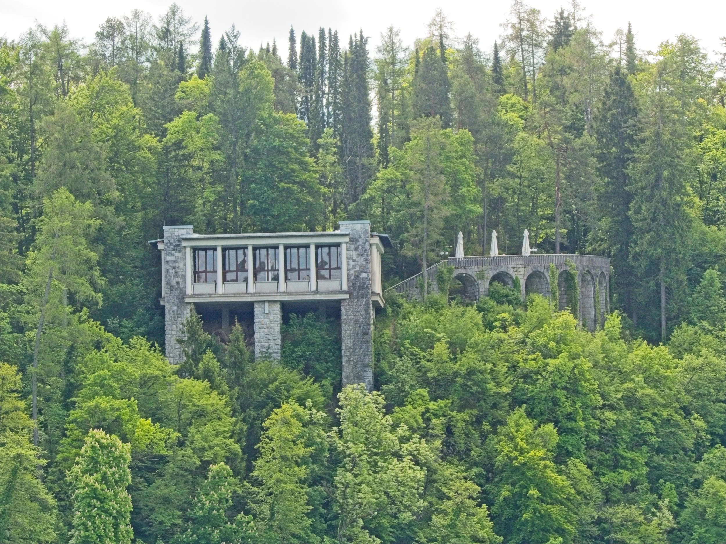 P1100327.jpg