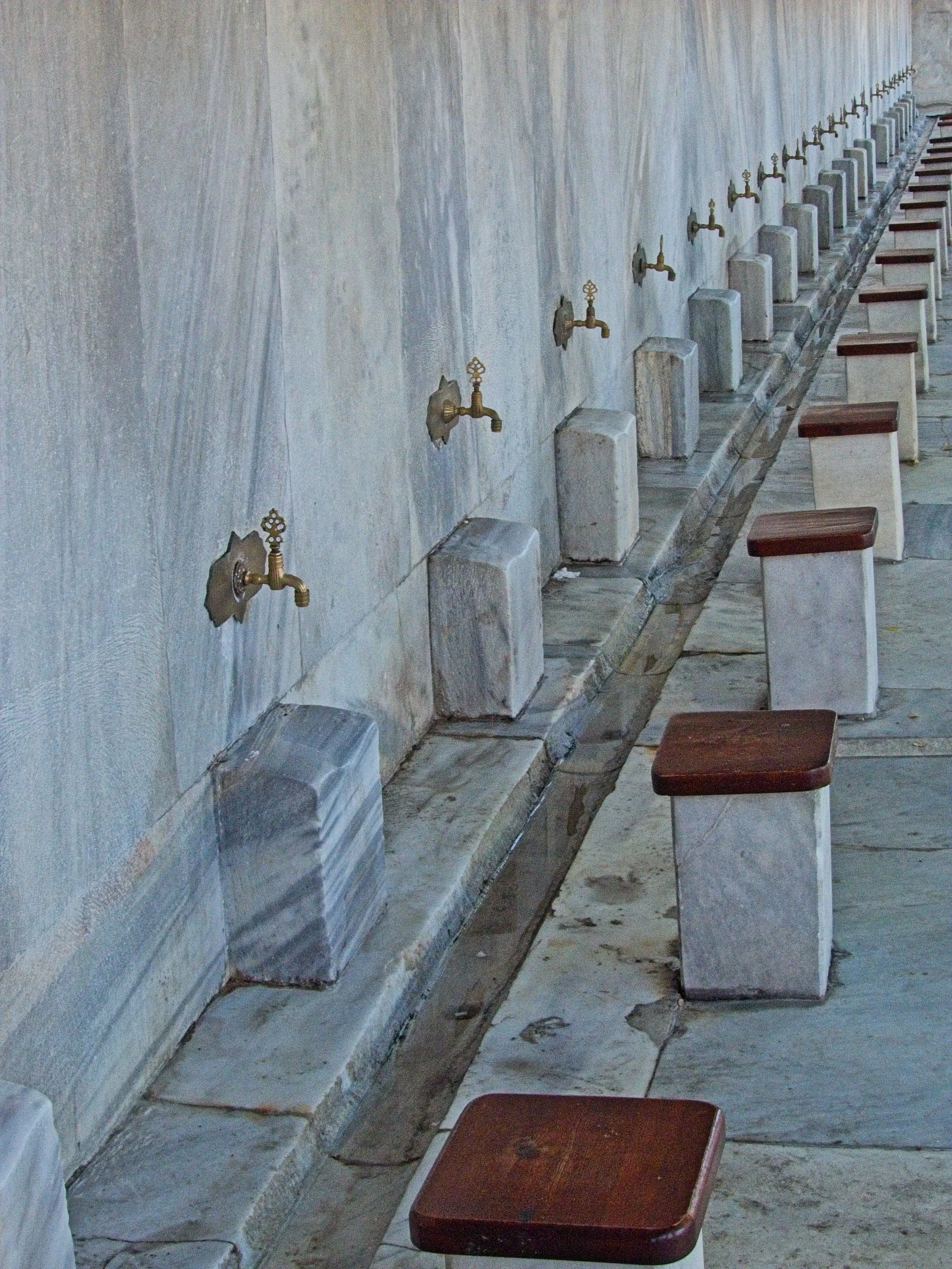 P1100478.jpg