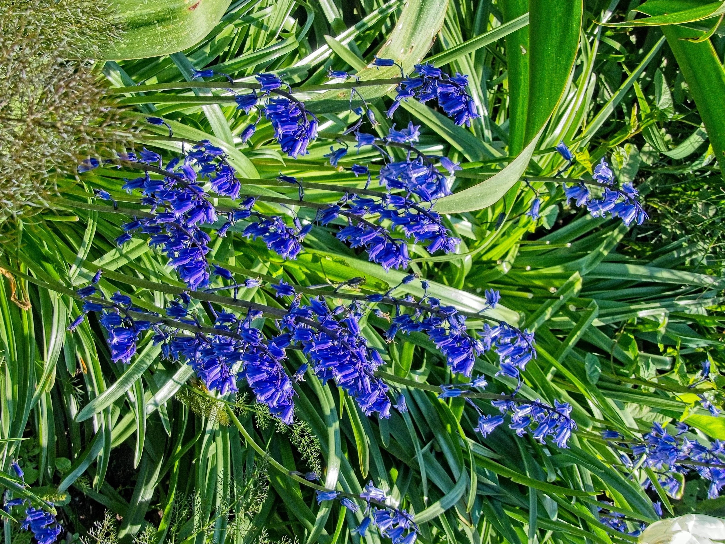 P1080058.jpg