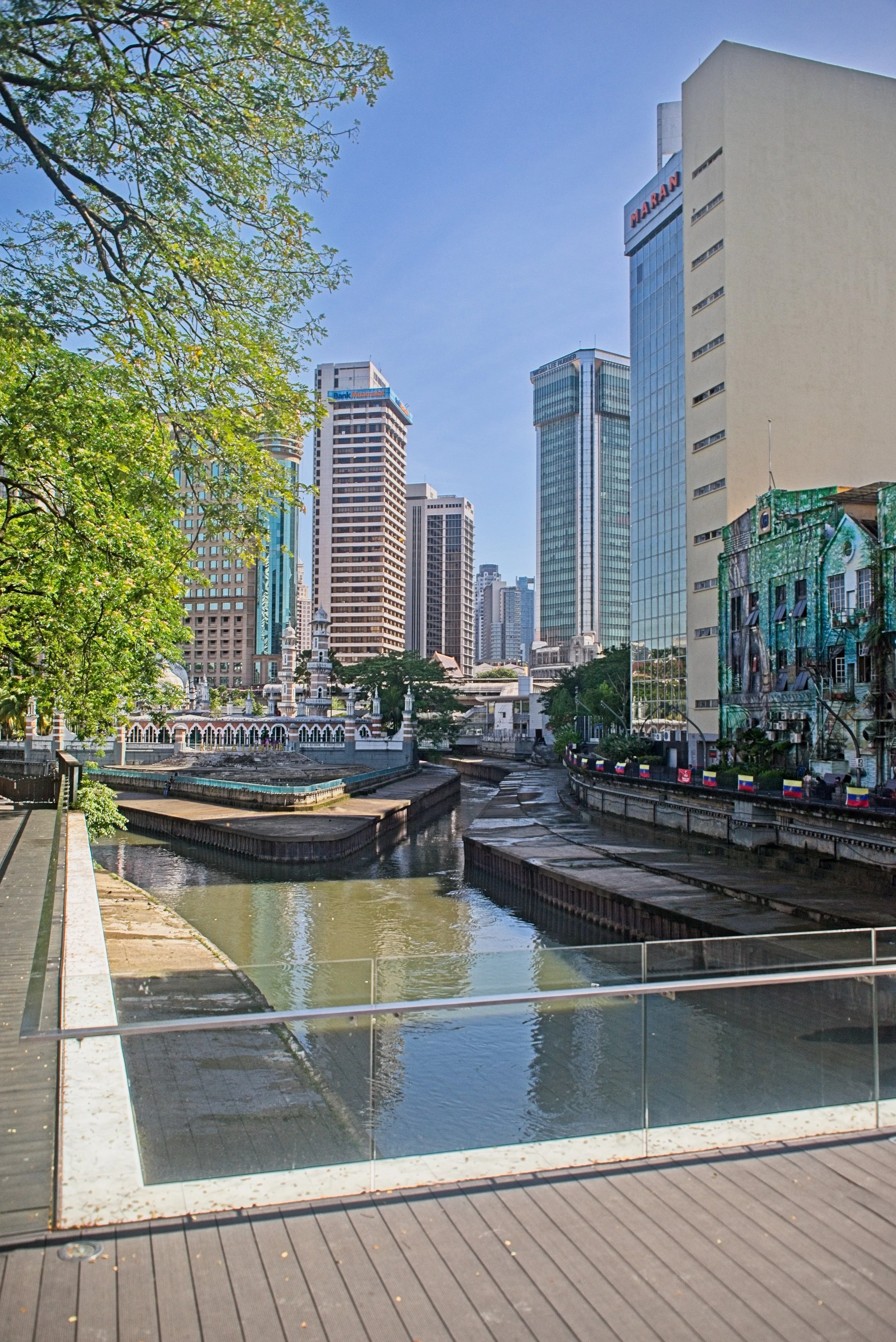 DSC_0705.jpg