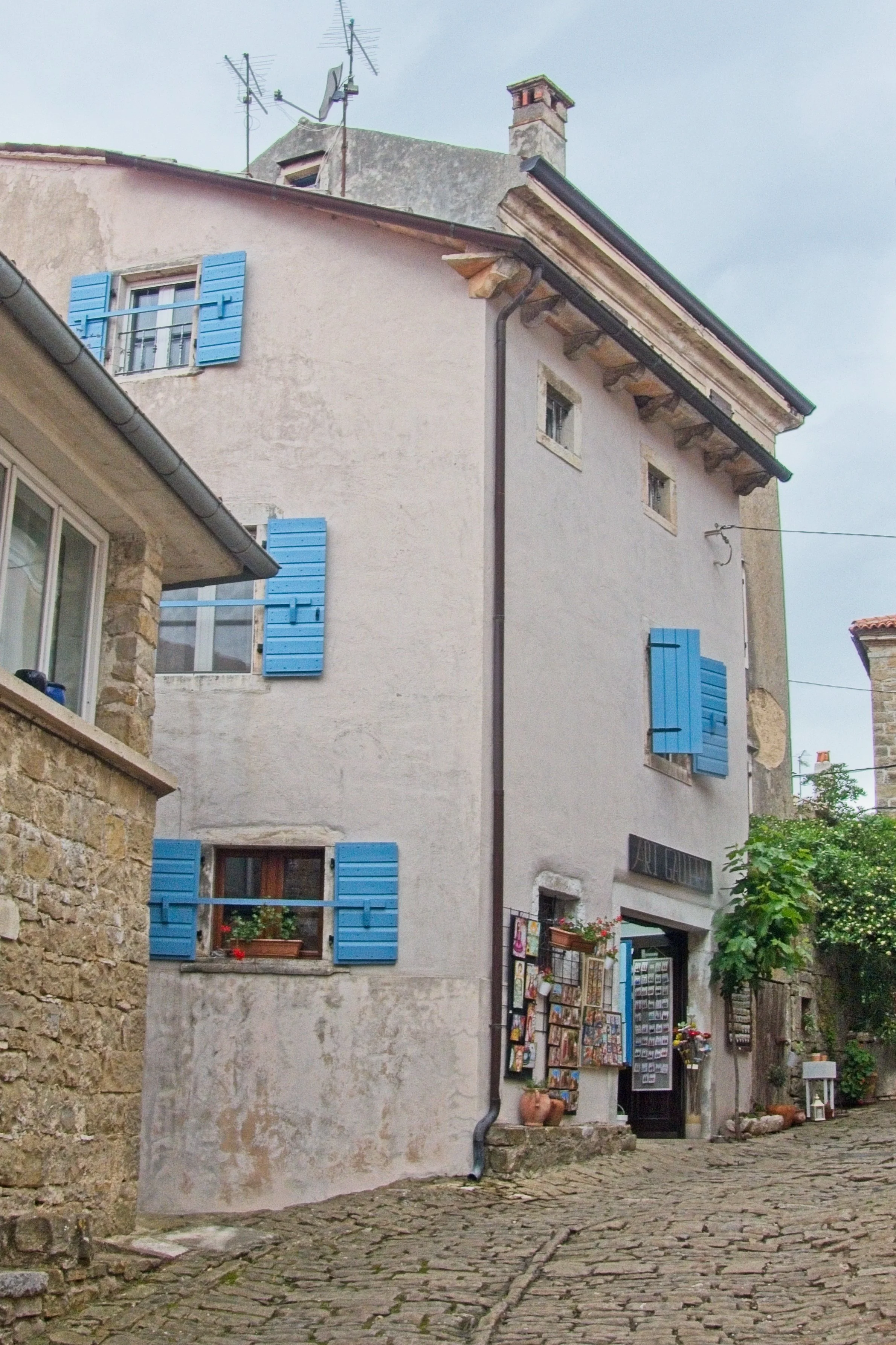 P1100136.jpg