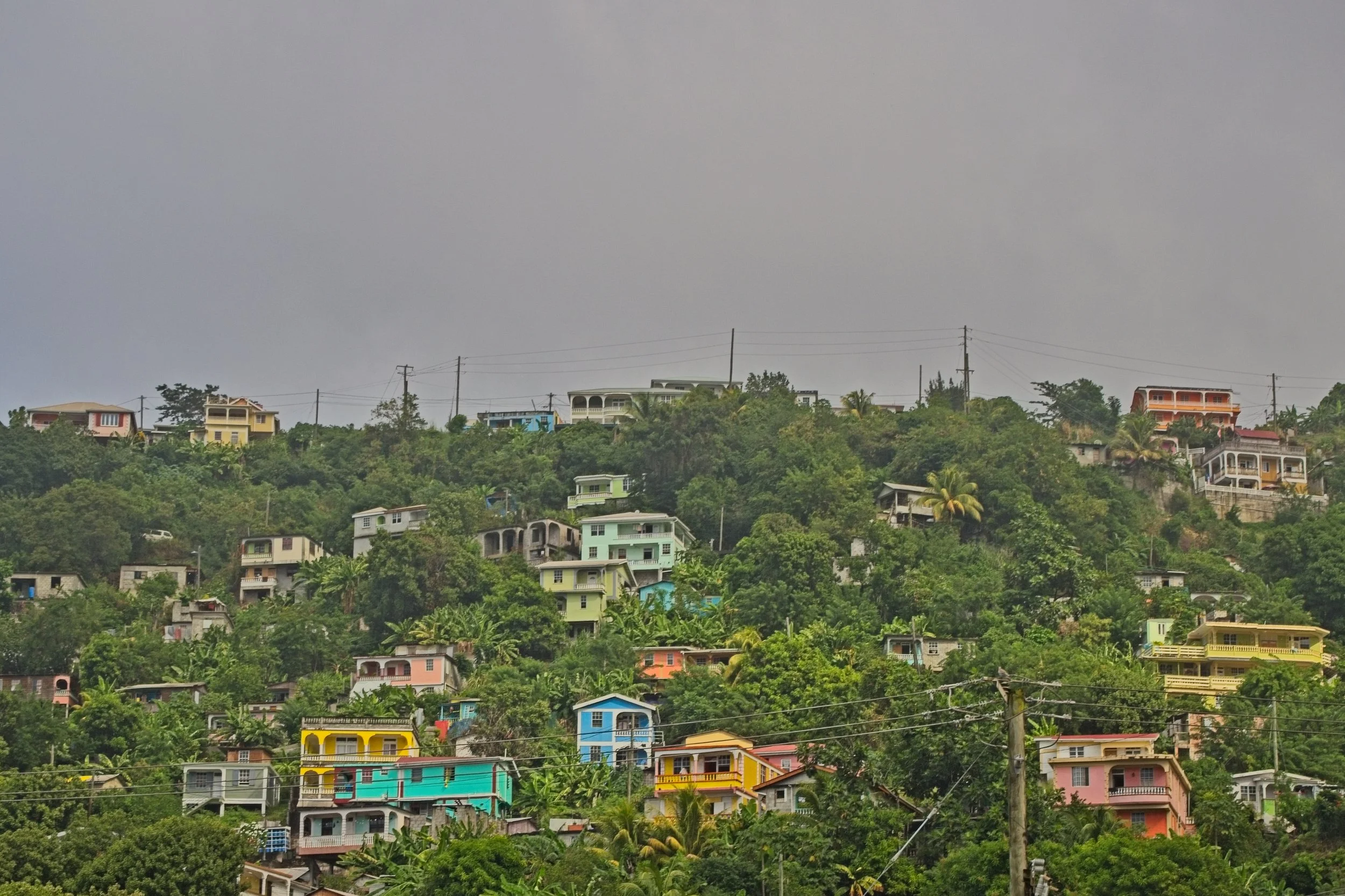 PC170103.jpg