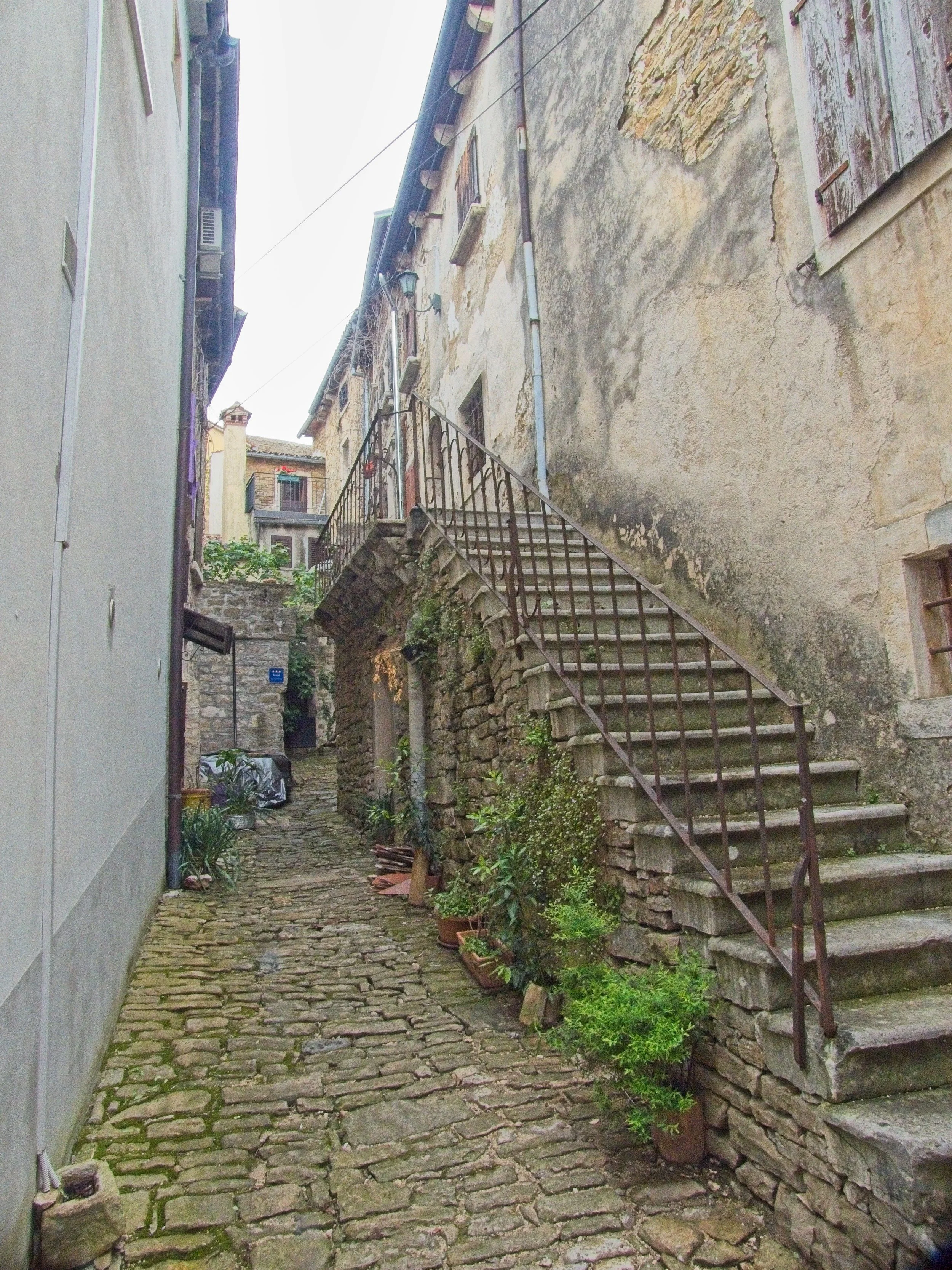 P1100131.jpg