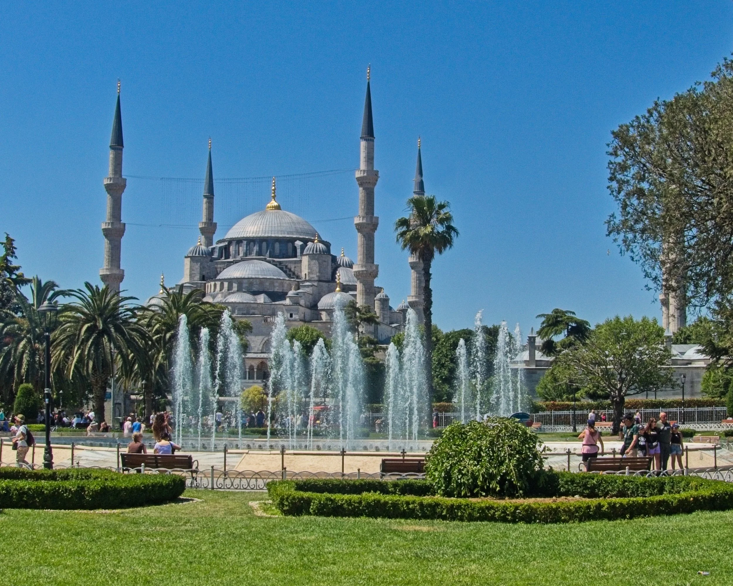P1100541.jpg