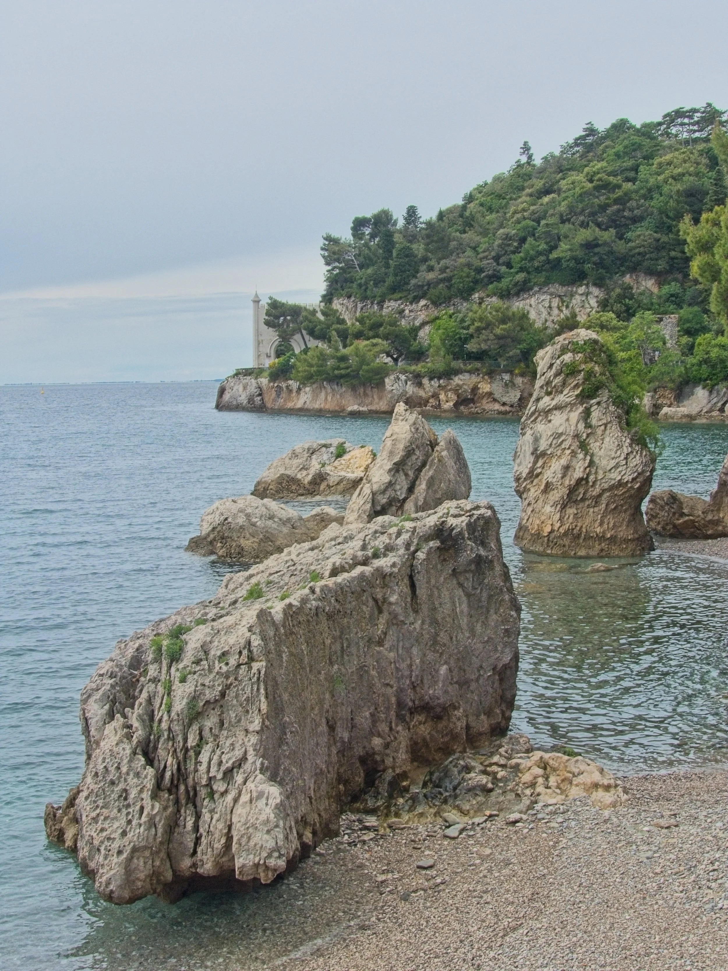 P1100201.jpg