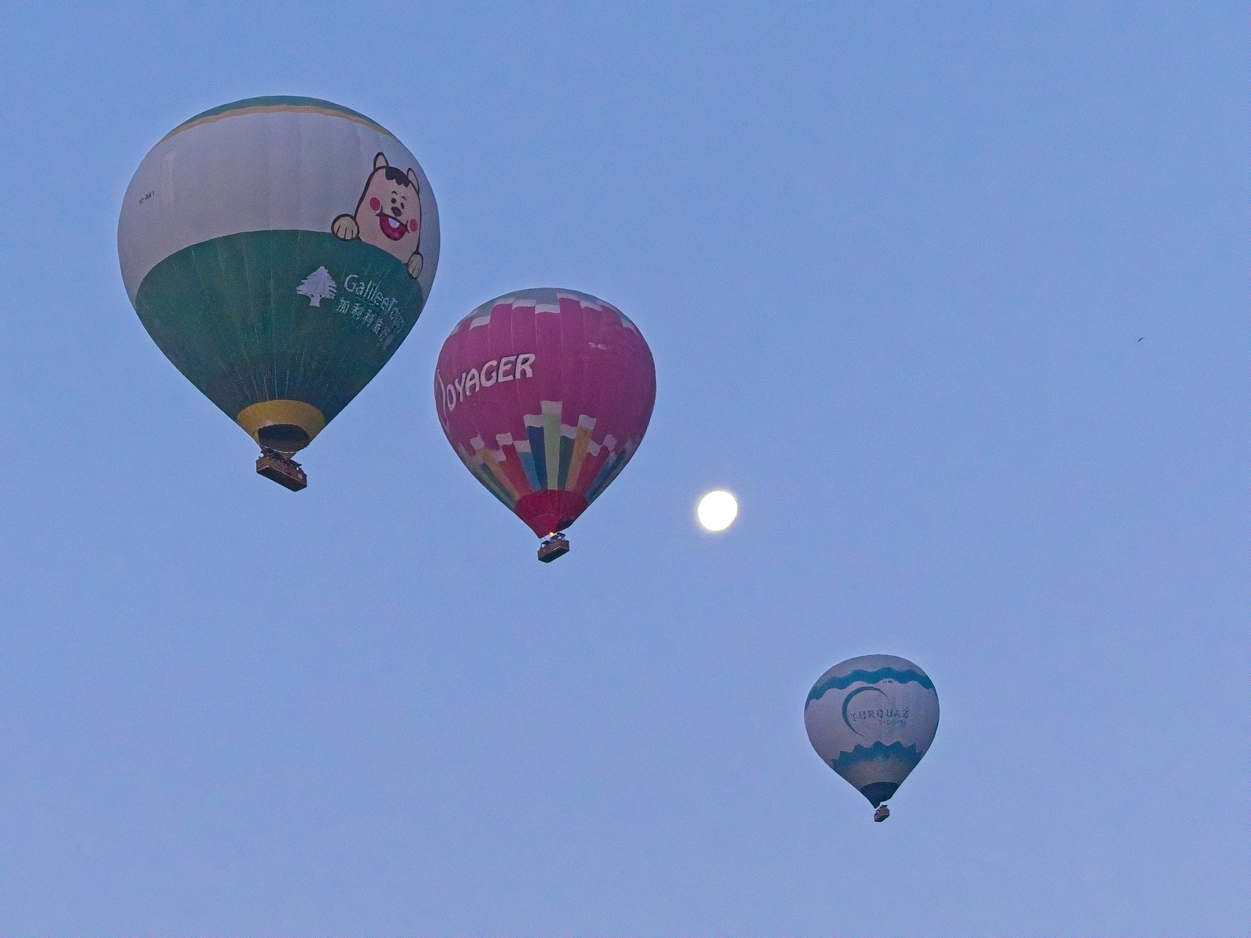 P1110342.jpg