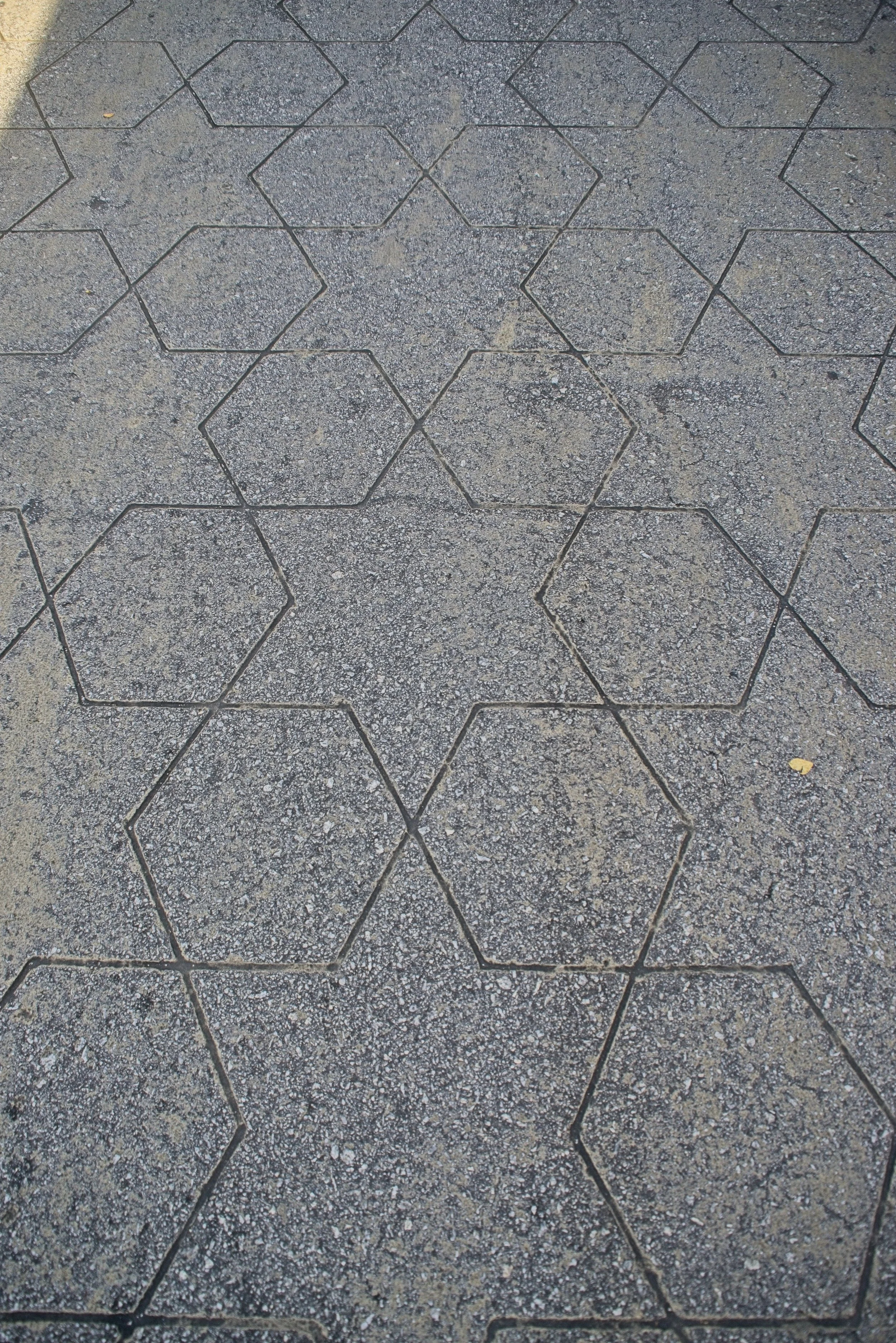 DSC_0703.jpg