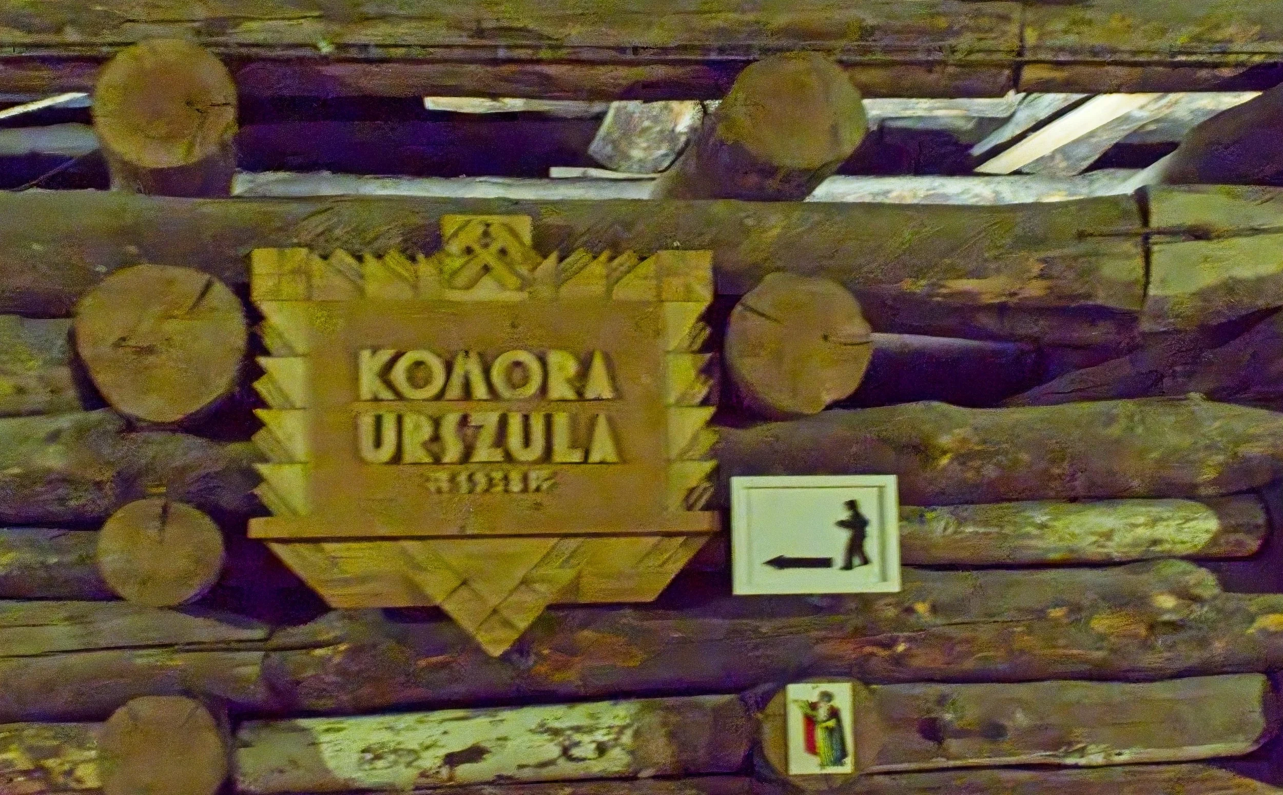 P9030243.jpg