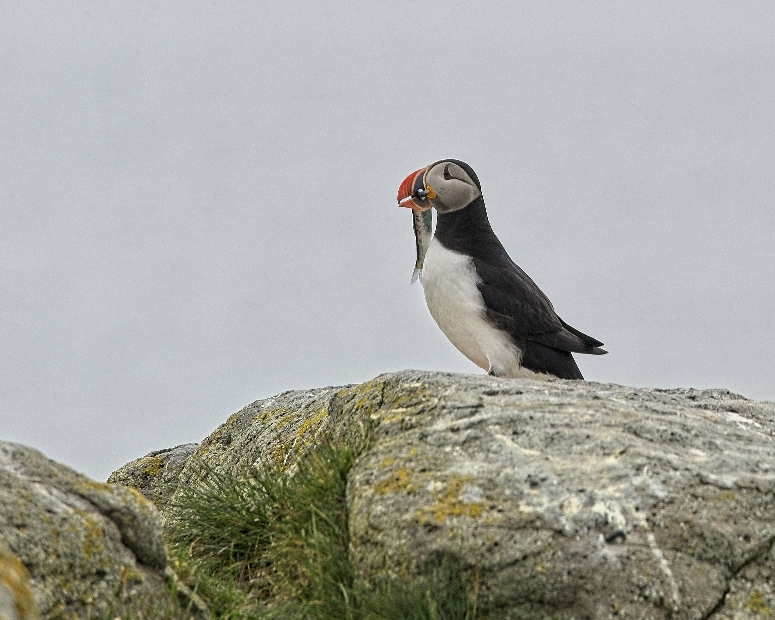 DSC_0029.jpg
