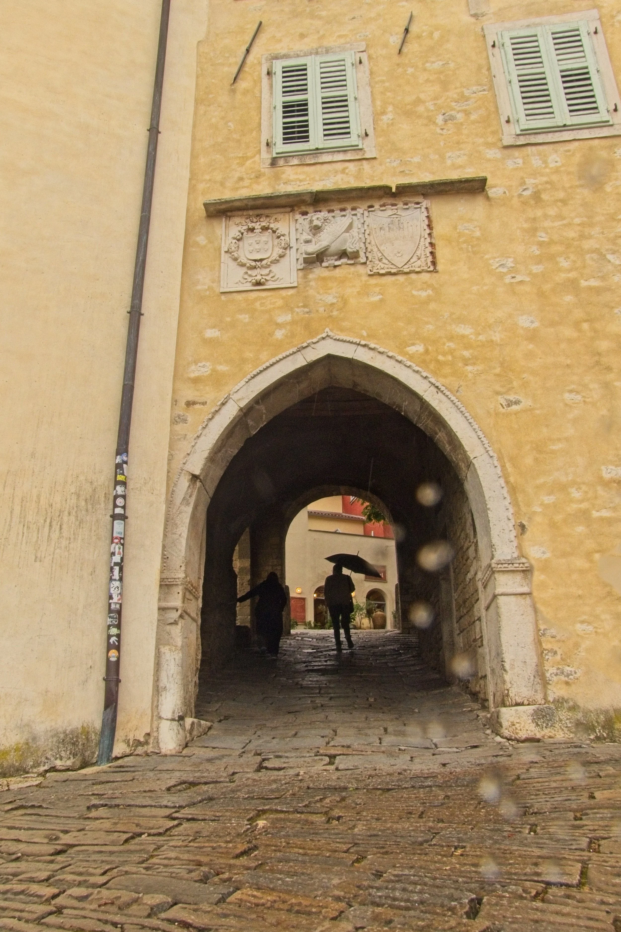 P1100074.jpg