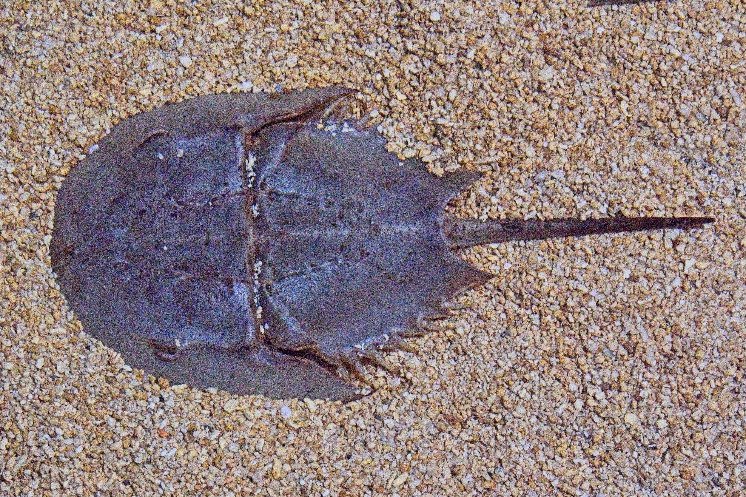 PC260495.jpg