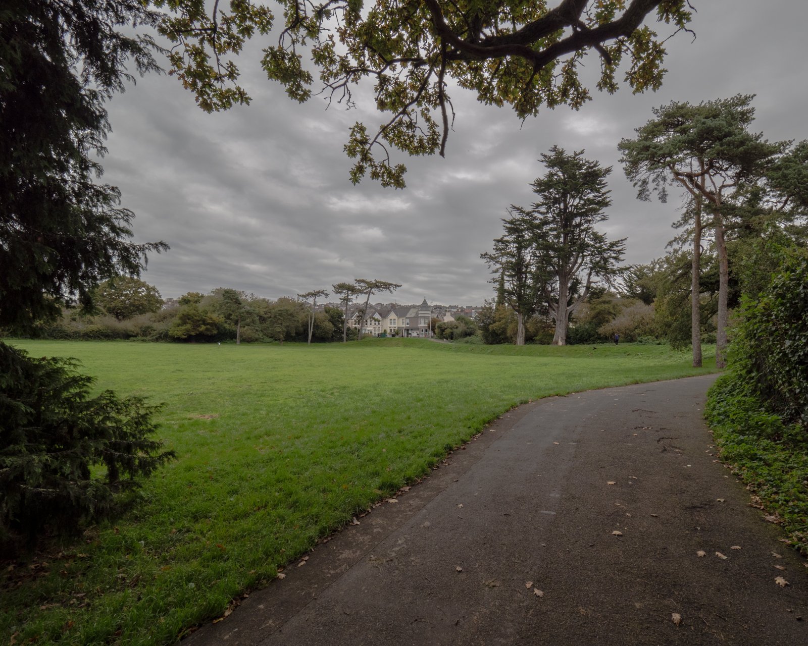 PA170137.jpg