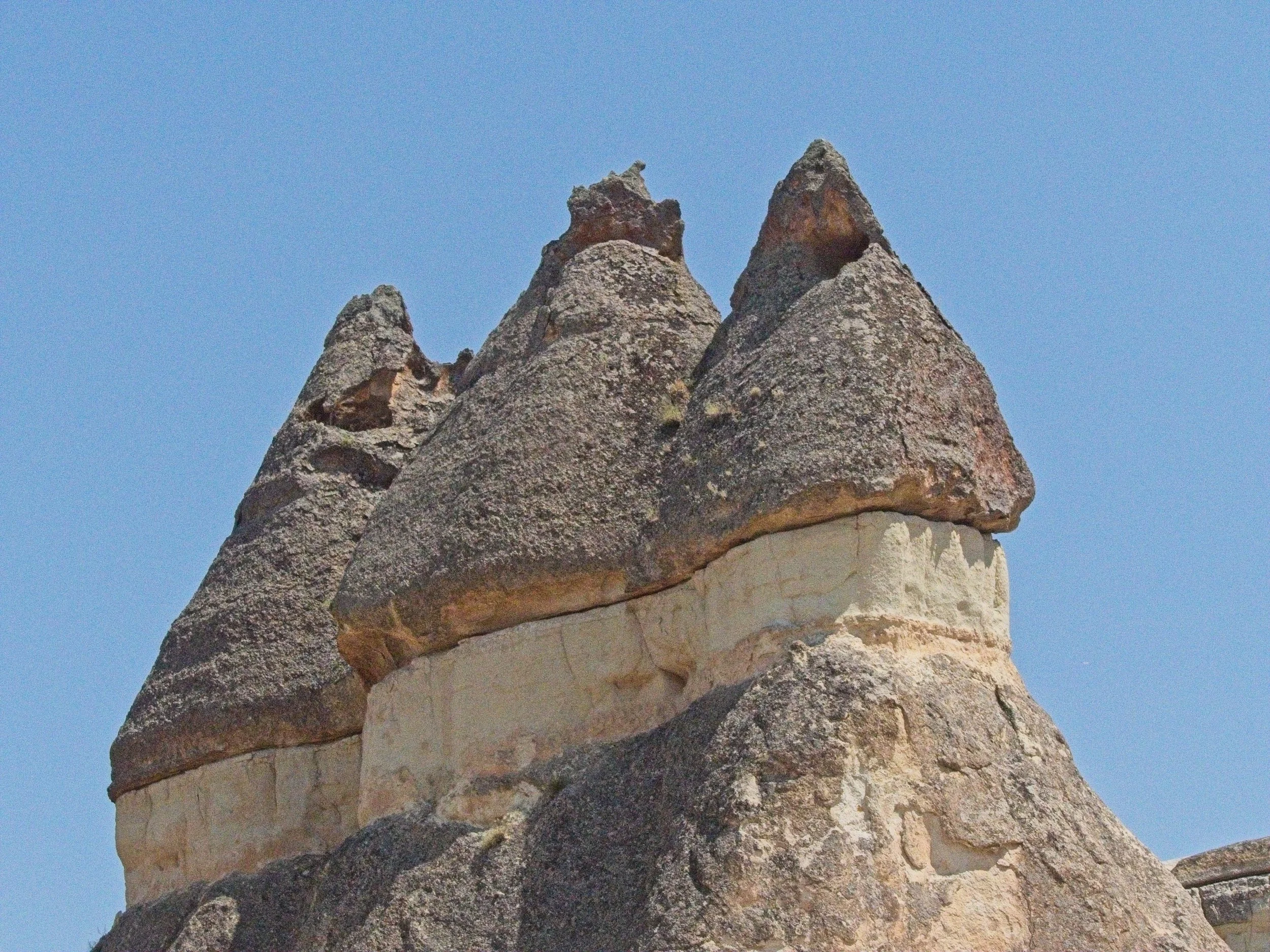 P1110476.jpg