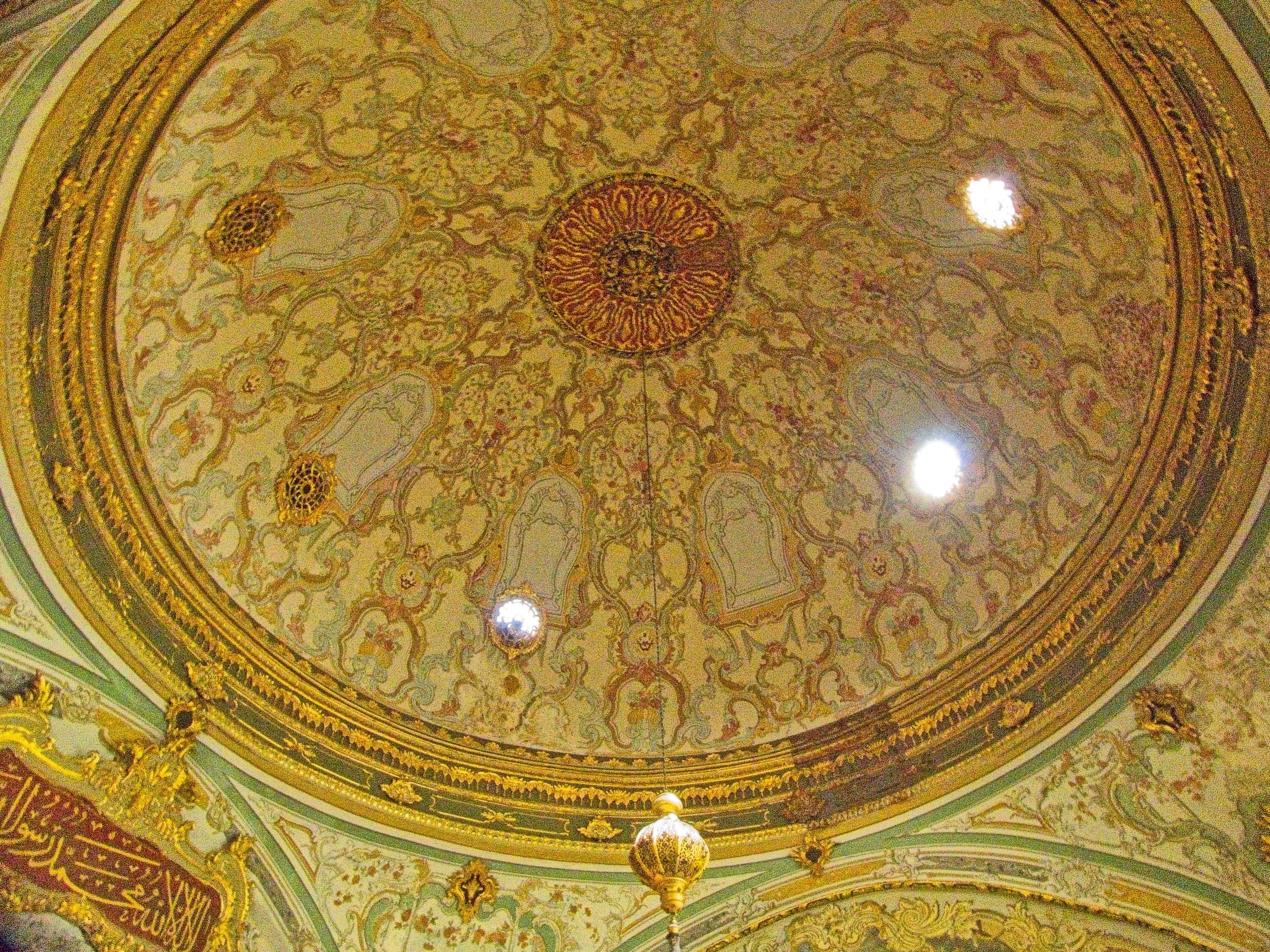 P1100656.jpg