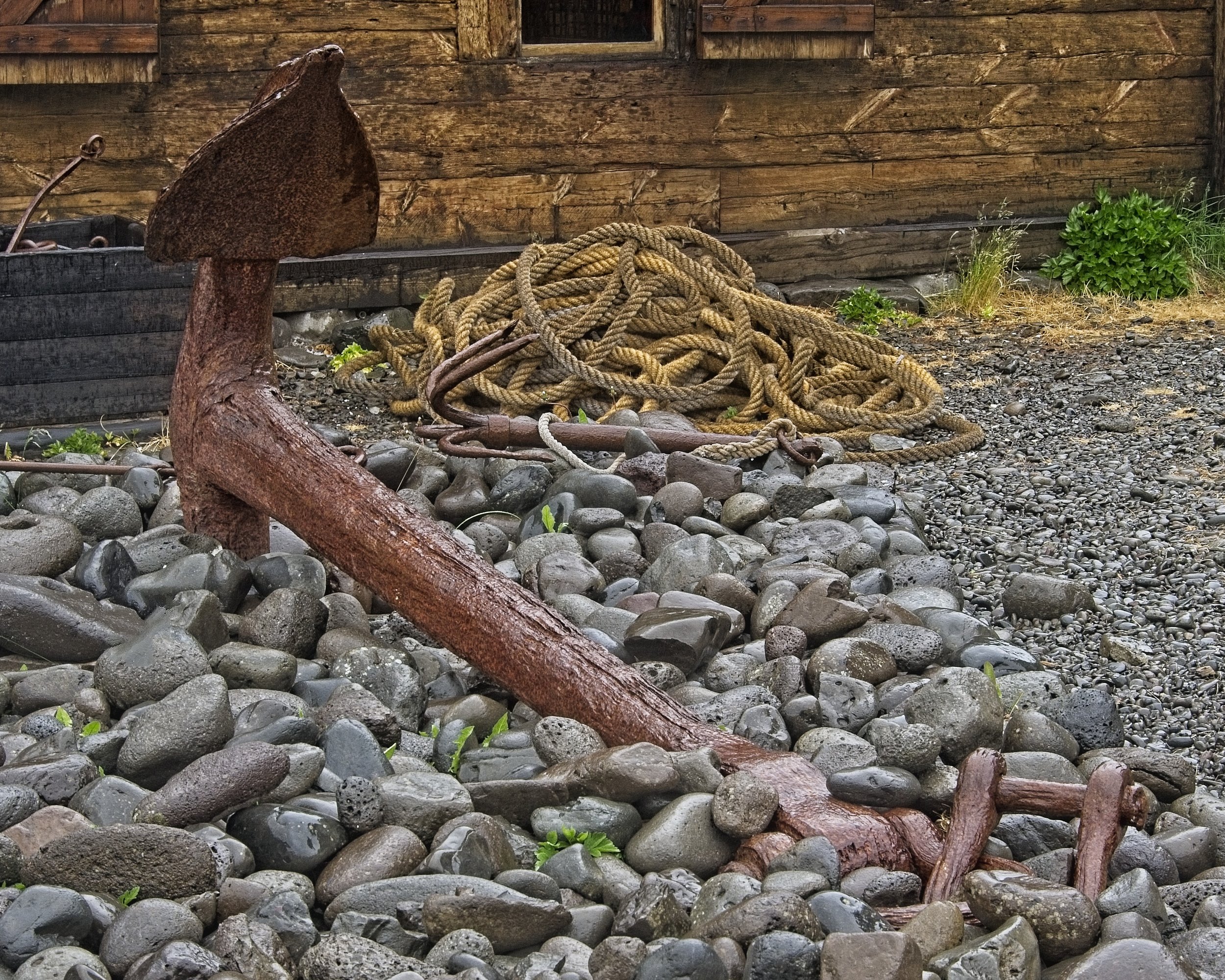 DSC_0537.jpg