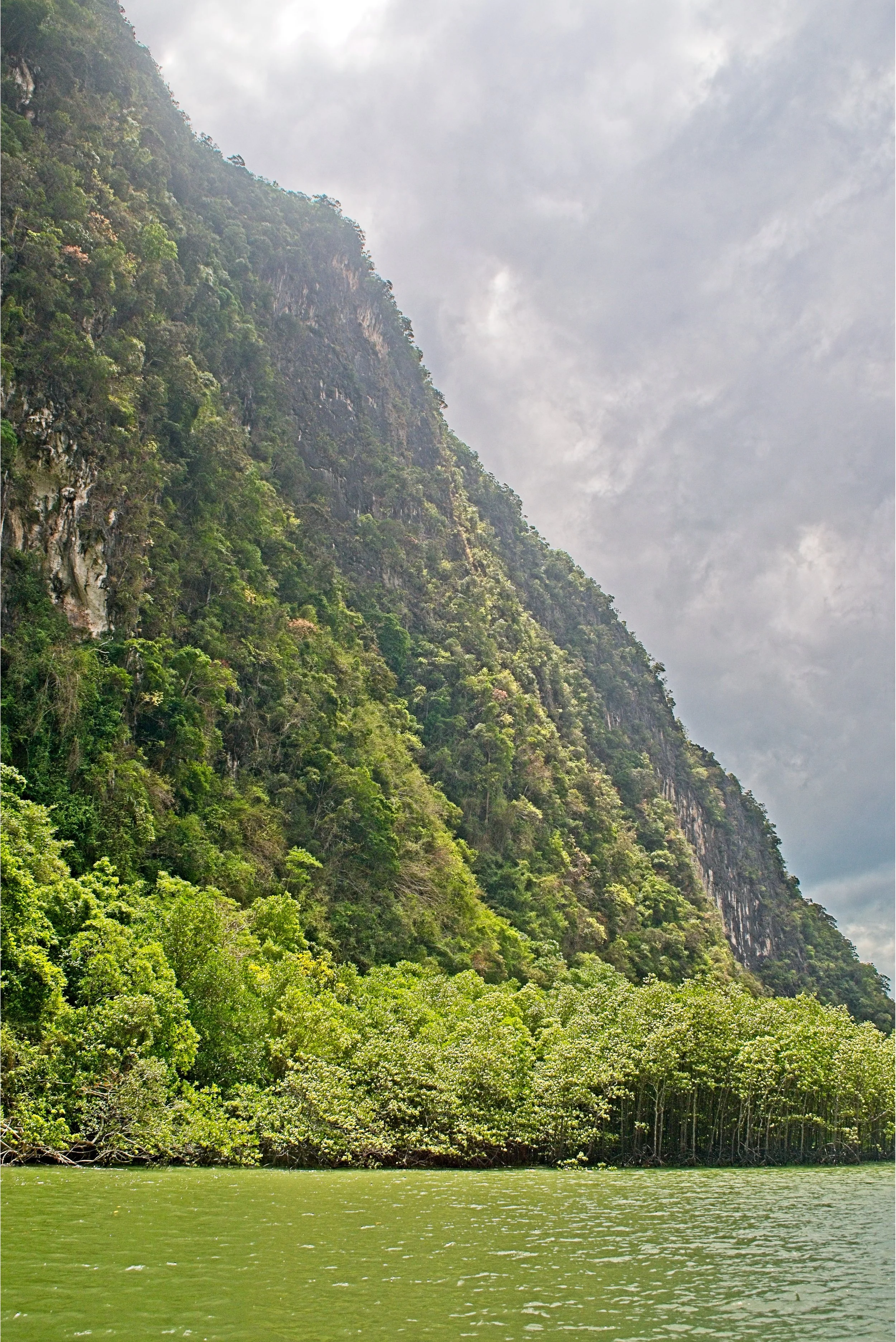 DSC_0460.jpg
