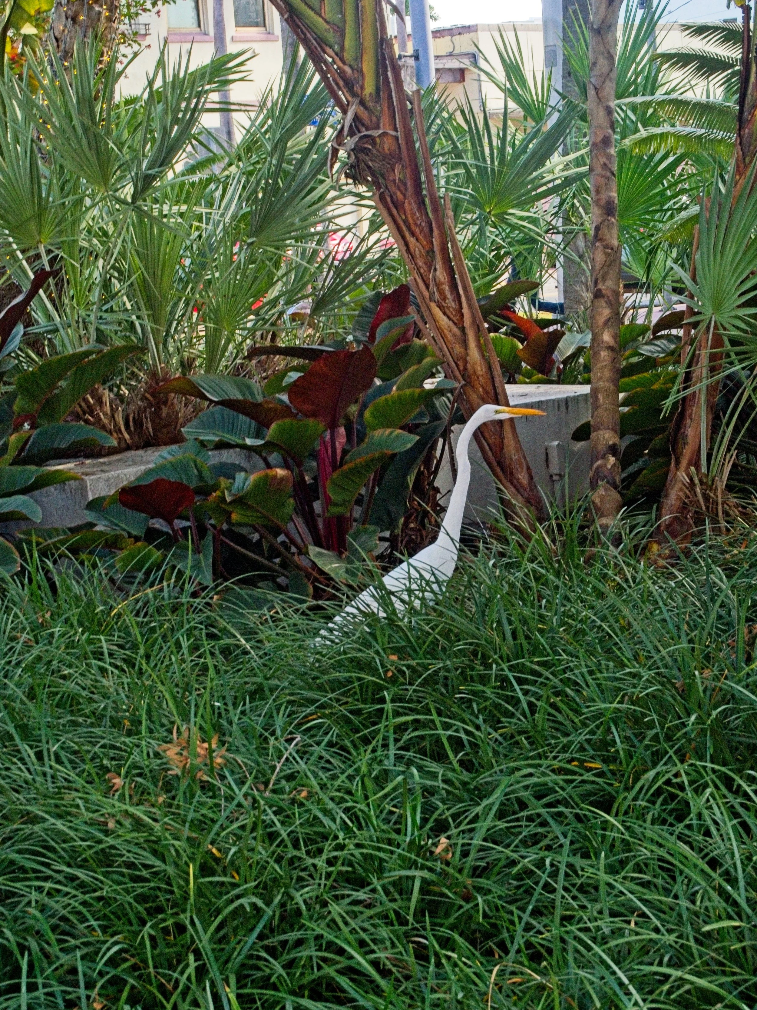 PC240268.jpg