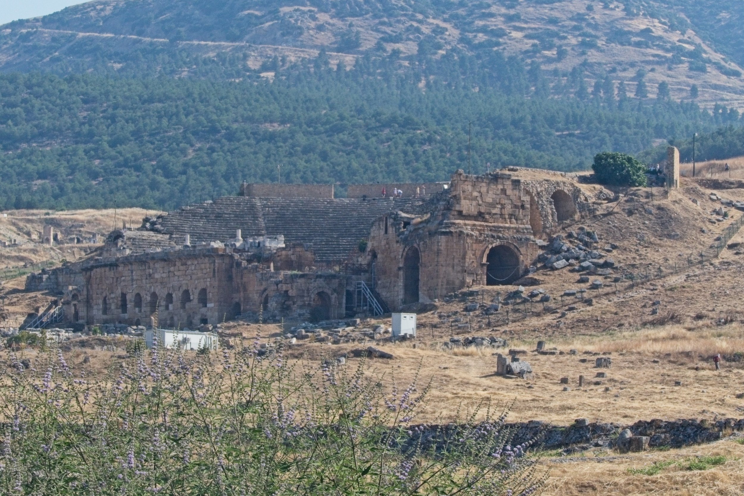 P1110100.jpg