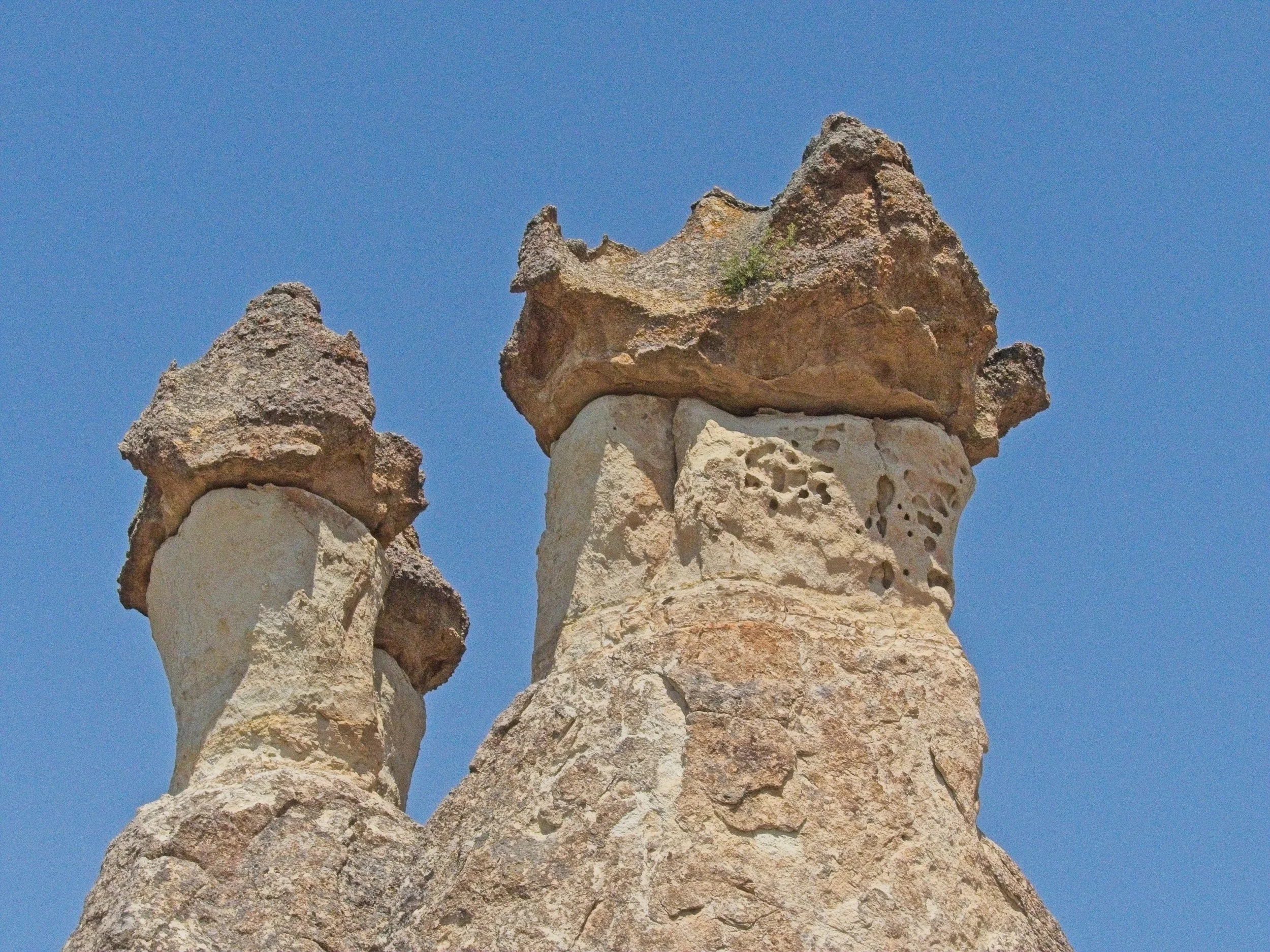 P1110469.jpg