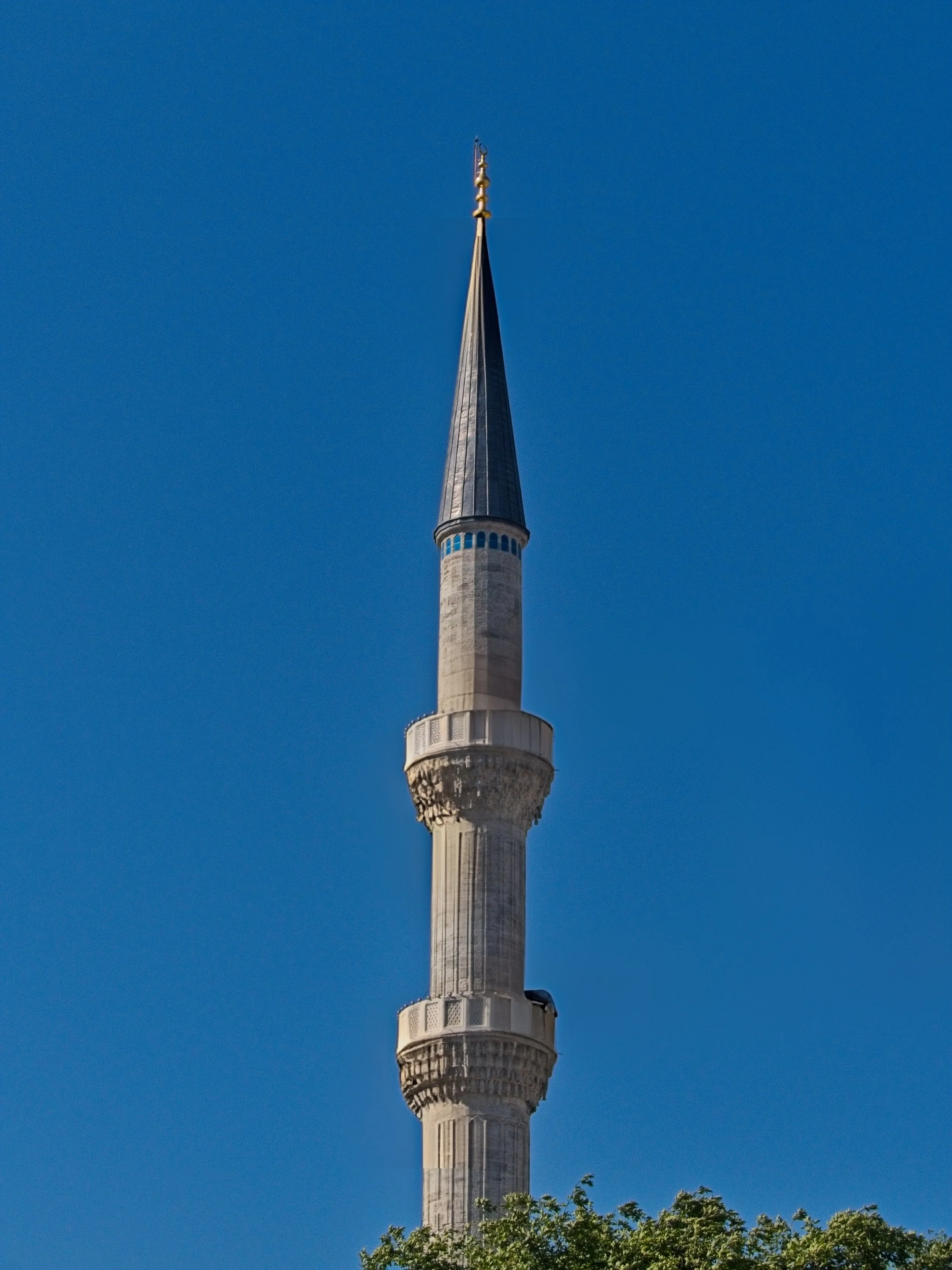 P1100473.jpg