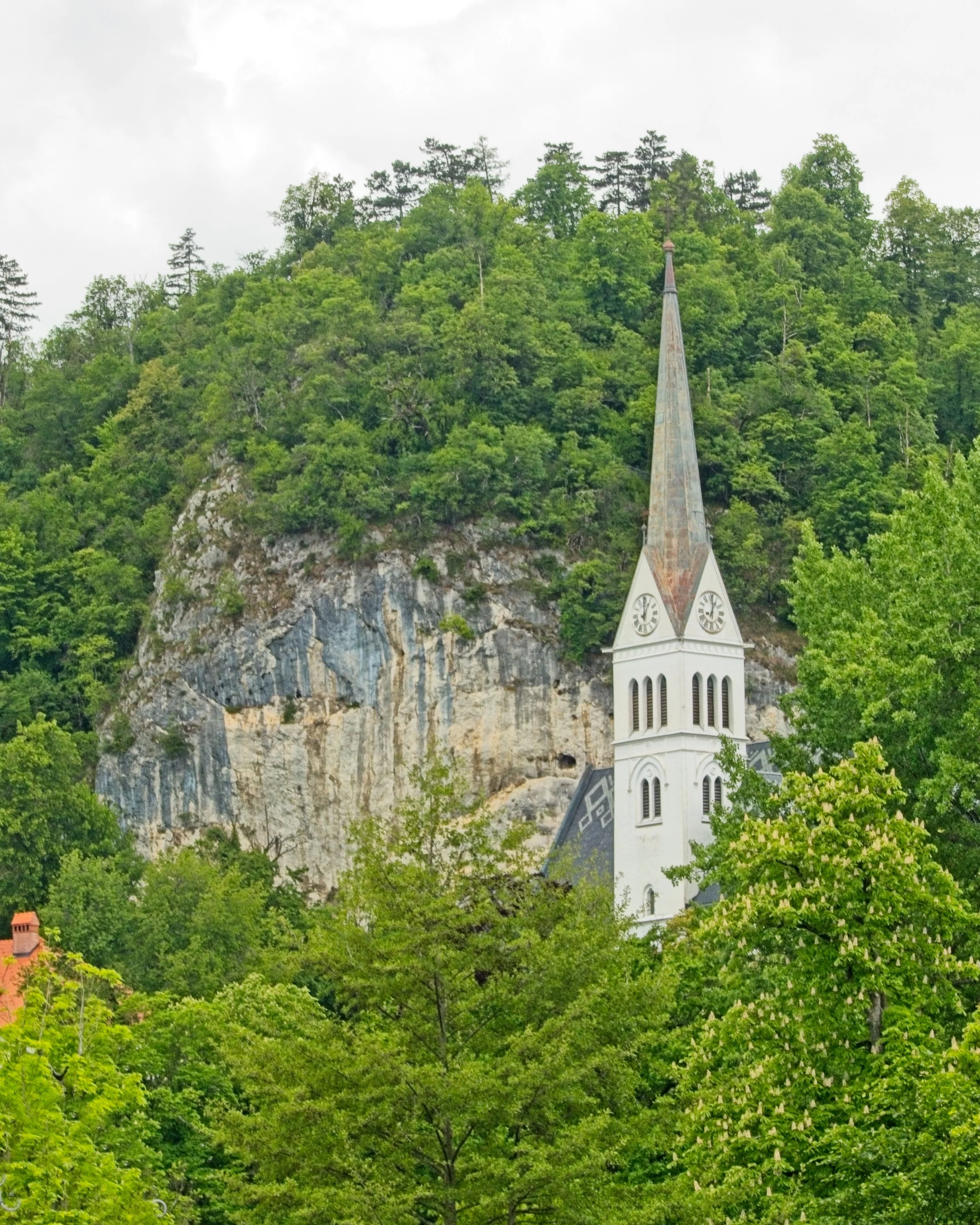P1100340.jpg