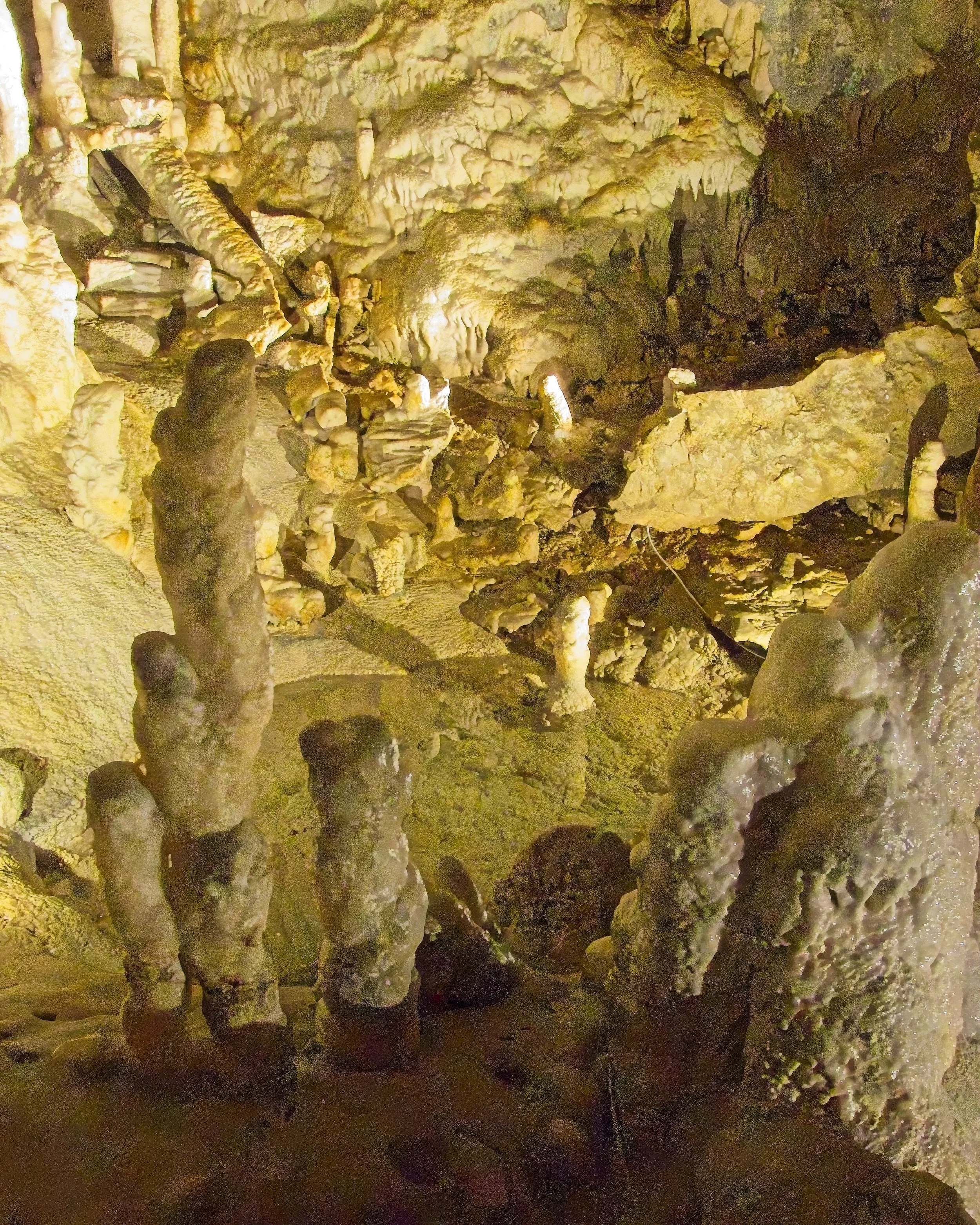 P1100020.jpg